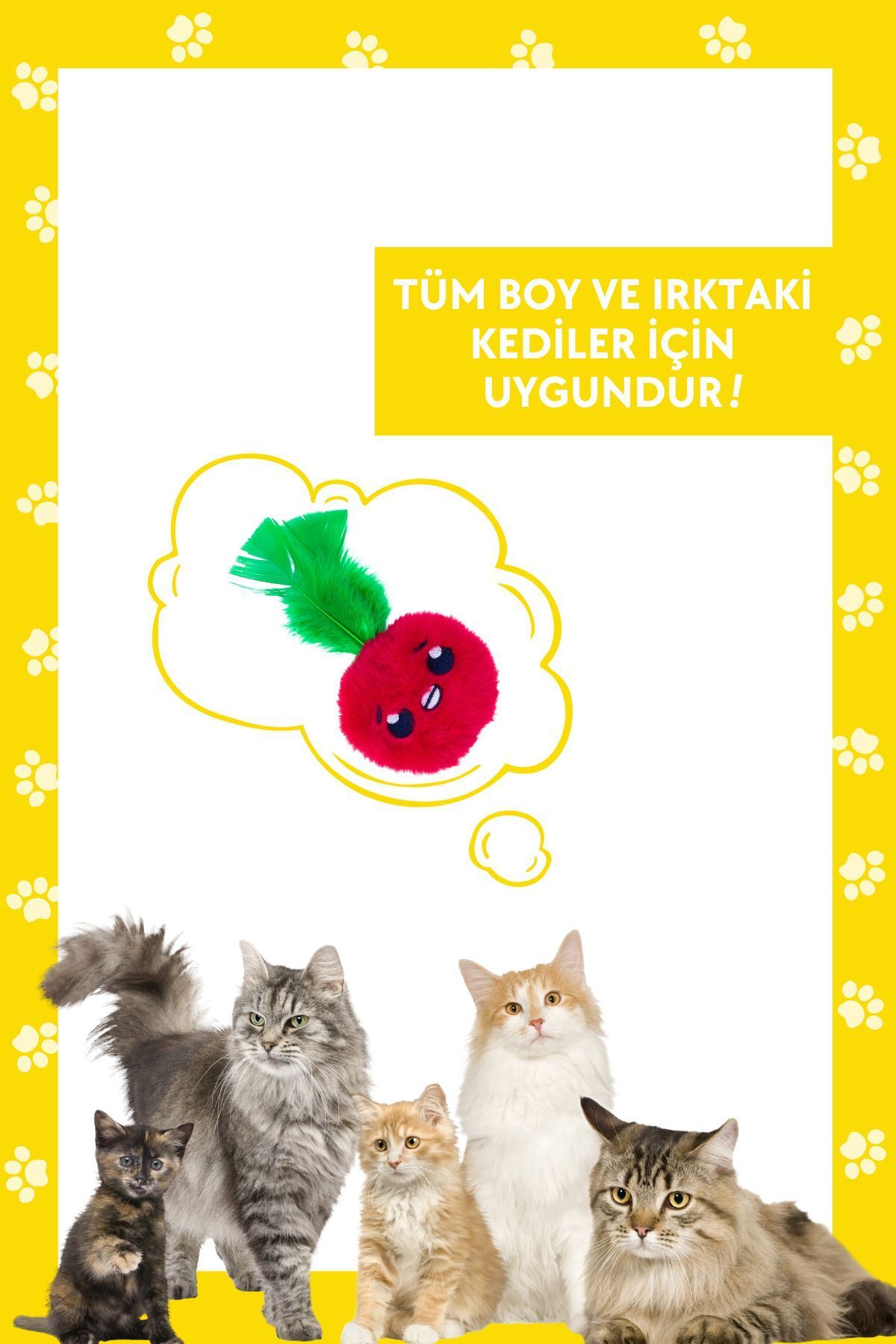 Miyav-Apple Shaped Catnip Plush Cat Toy with Pocket 2 Pieces Catnip Pack Included - Cat Toy with Catnip 7