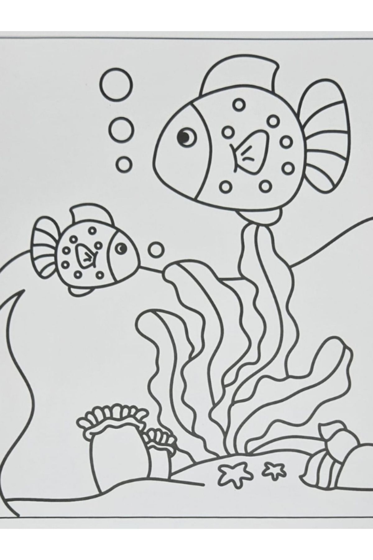 کتاب های فعالیت و آموزشی Lino Paint Delete Activity Book Tools+Creatures Marine Joy 12 هدیه قلم دوباره حذف رنگ Carioca