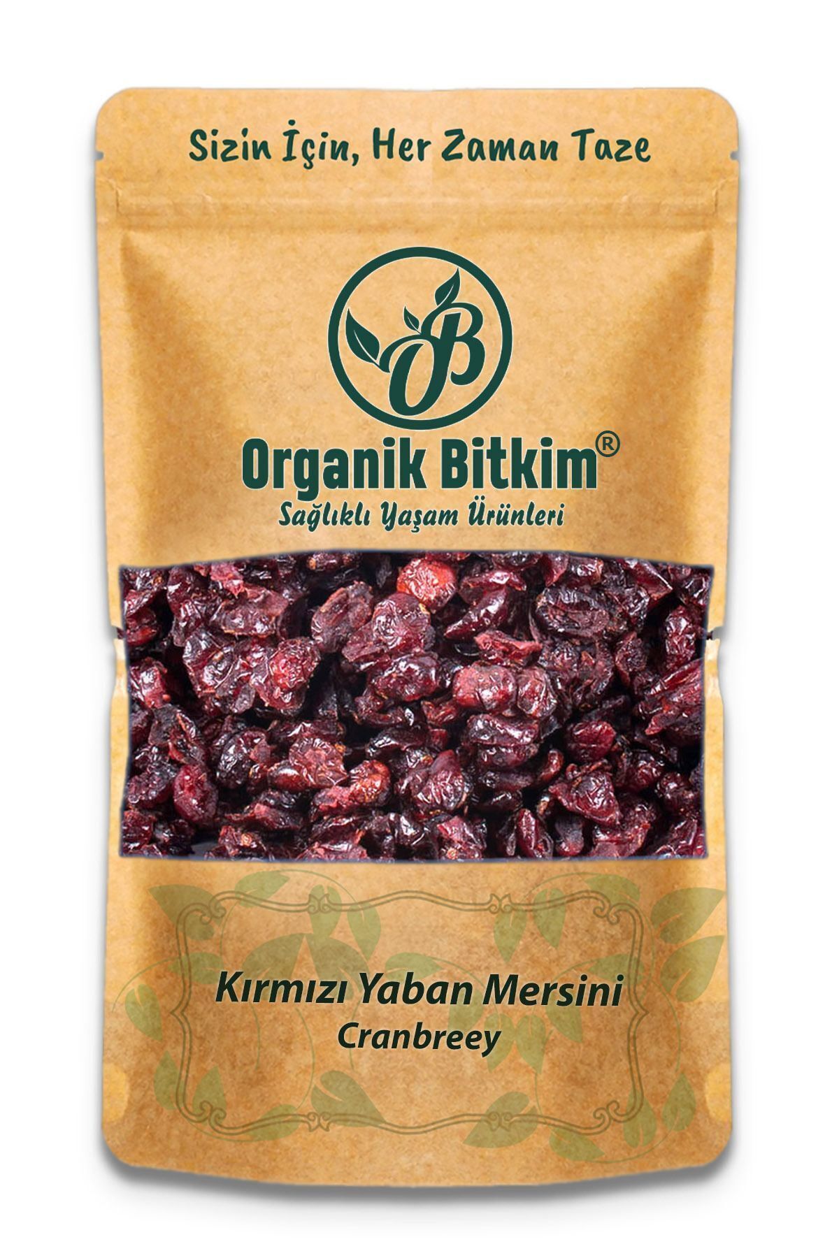 Organik Bitkim-Blueberry Dried 250 gr 1