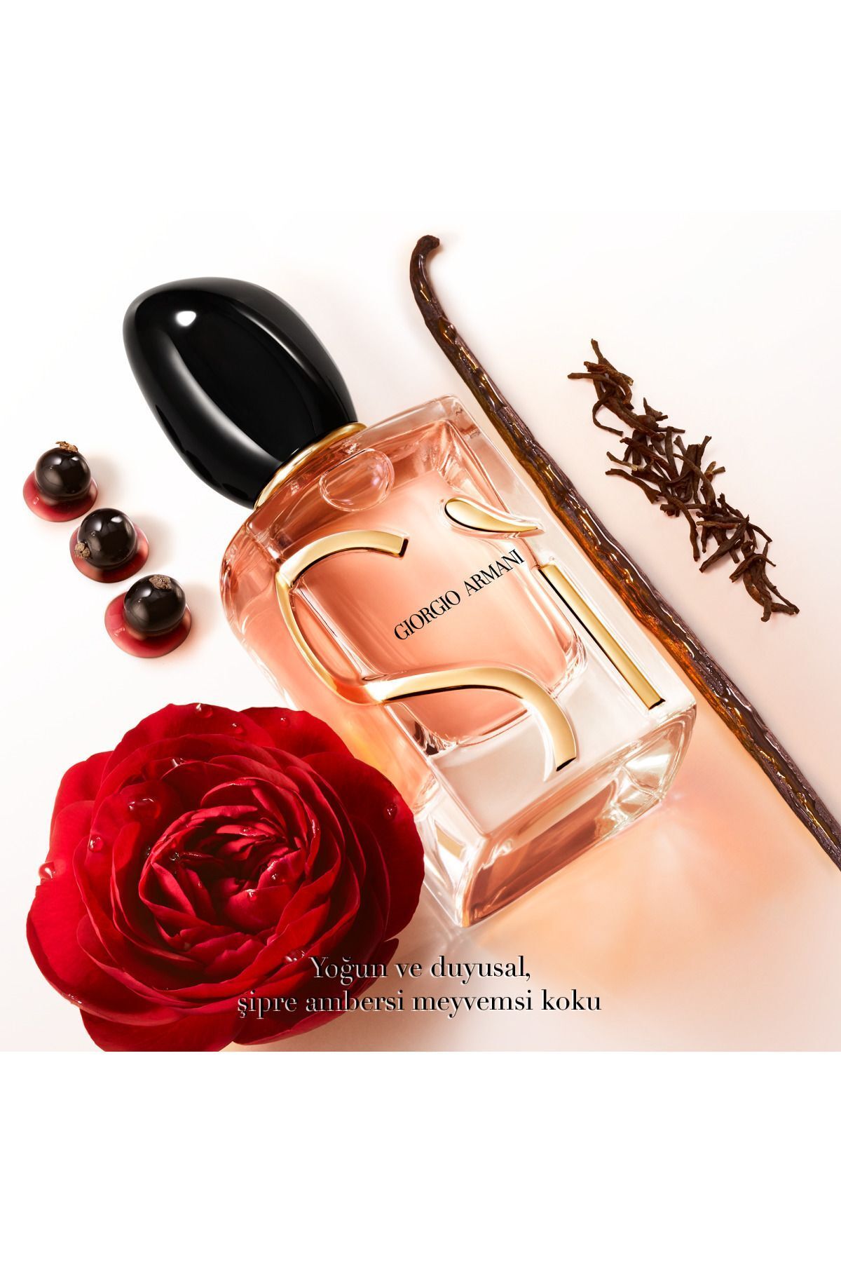 Giorgio Armani سی ادوپرفیوم اینتنس 30 میلی لیتری