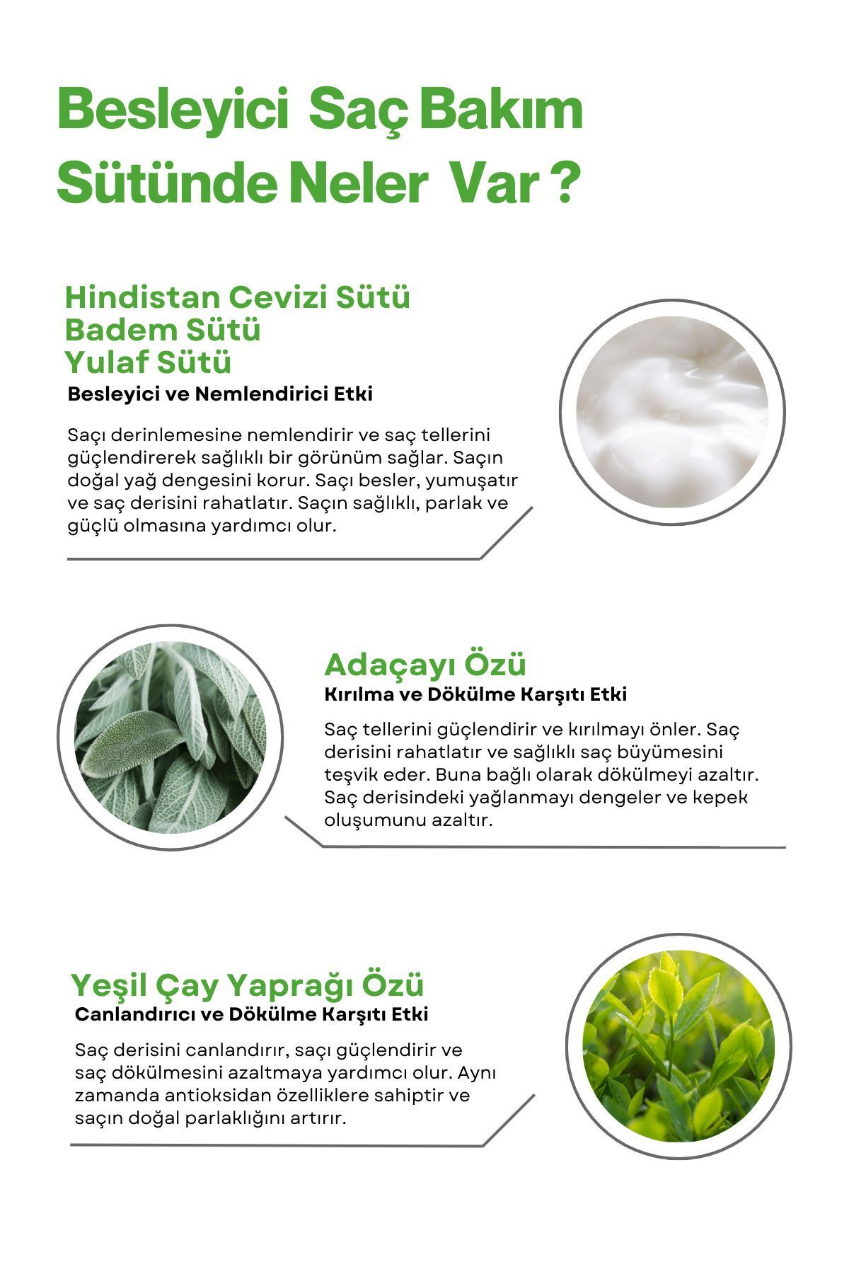 Isı Koruyucu, Besleyici, Yatıştırıcı Saç Bakım Sütü(BADEM SÜTÜ,HİNDİSTAN SÜTÜ,YULAF SÜTÜ) 200 ml — LTDBS — تصویر 5 از 6
