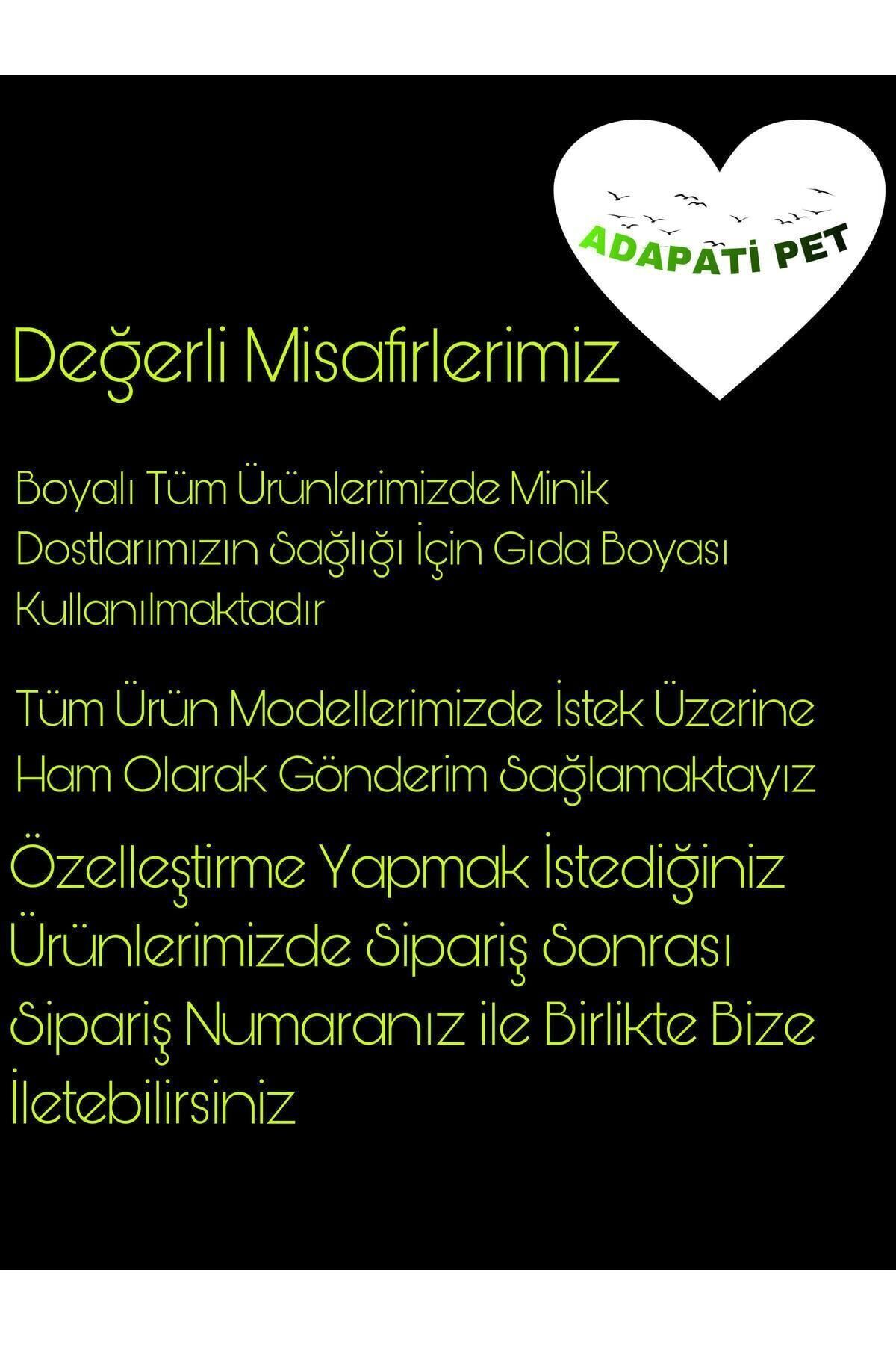ADAPATİ PET-Bird Play Platform with Wooden Handmade Intelligence Toy 5