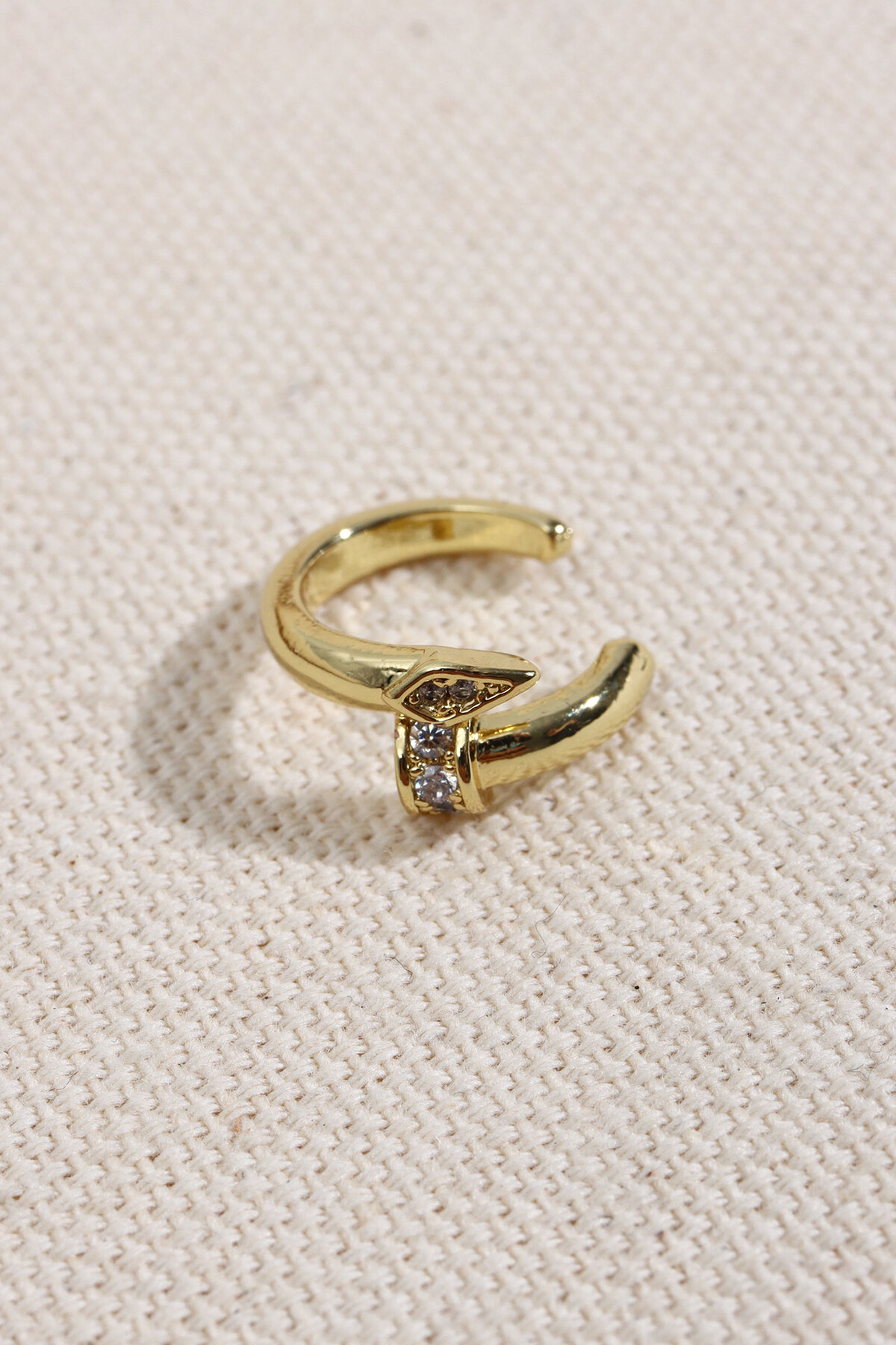 Çivi Model Gold Renk Kıkırdak Küpe 2