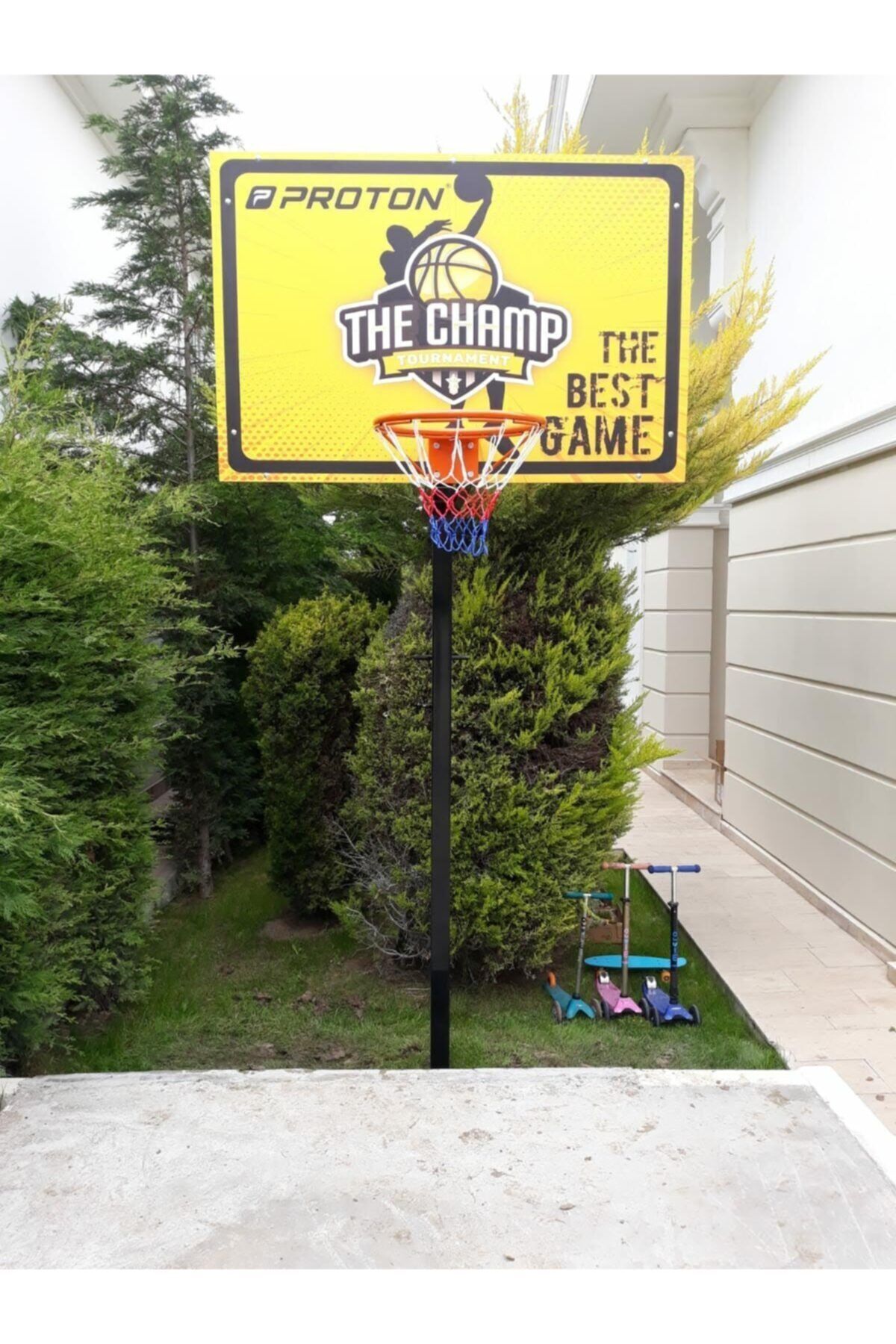 whiteface Tek Direkli Yükseklik Ayarlı Basketbol Potası Basic Model Sabit Çember Dijital Panya