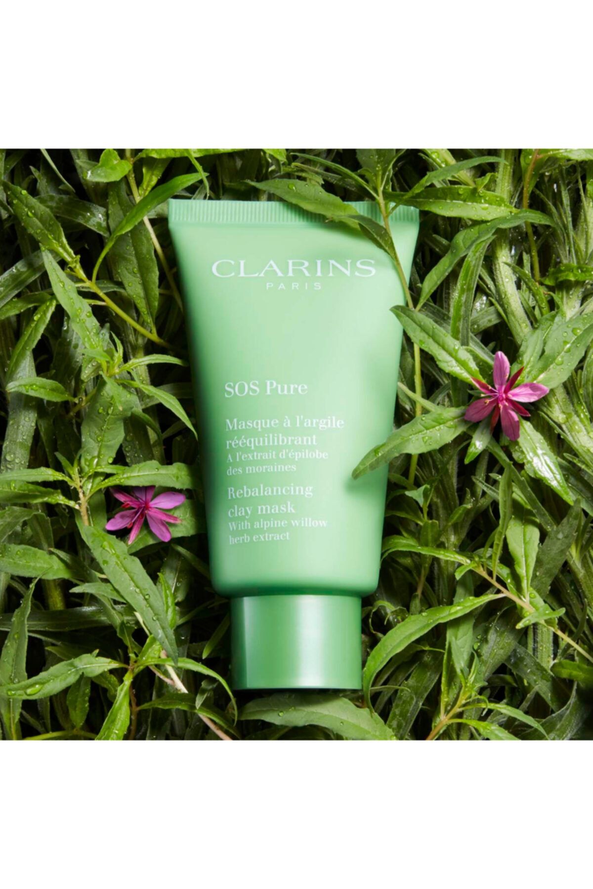 Clarins ماسک طنز طبیعی پاک کننده پوست ۷۵ میلی‌لیتر