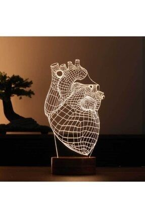 3D Canlı Kalp Lamba ILZ-61