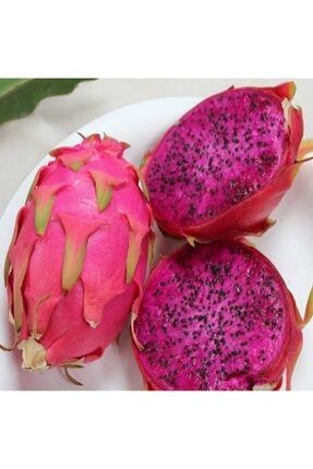 Doğal Içi Kırmızı Ejder Meyvesi(pitaya) Tohumu (100 Tohum) TB001009