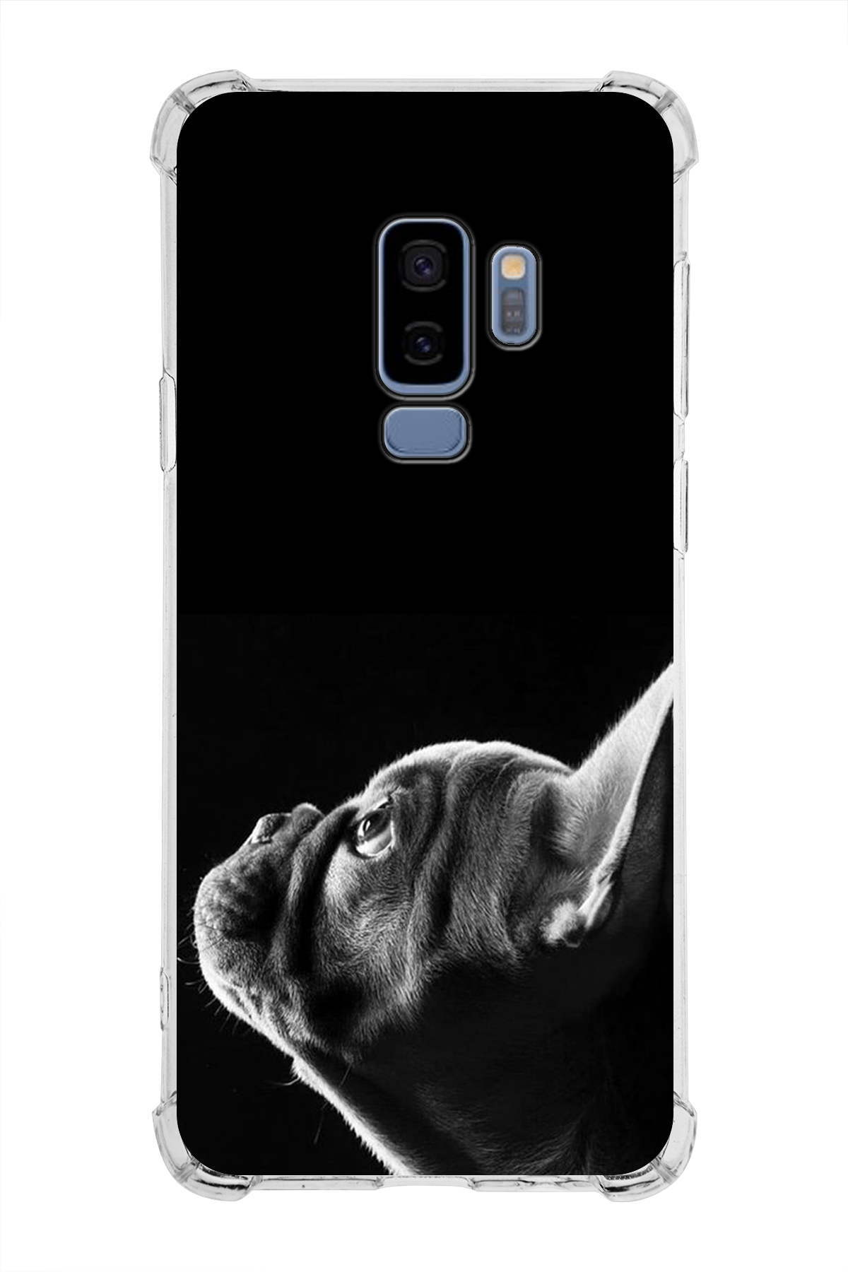 Samsung Galaxy S9 Plus Uyumlu Köpek 1 Baskılı Şeffaf Köşe Korumalı Antişok Kılıf