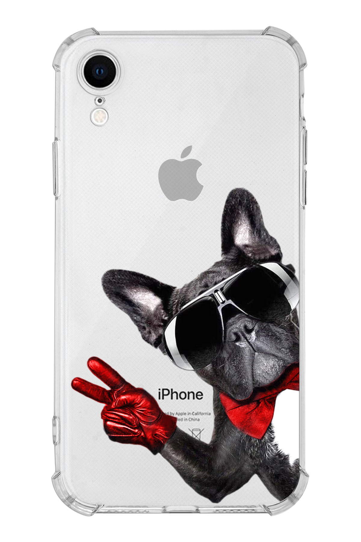 PrintiFy Apple iPhone XR Uyumlu Köpek 2 Baskılı Şeffaf Köşe Korumalı Antişok Kılıf