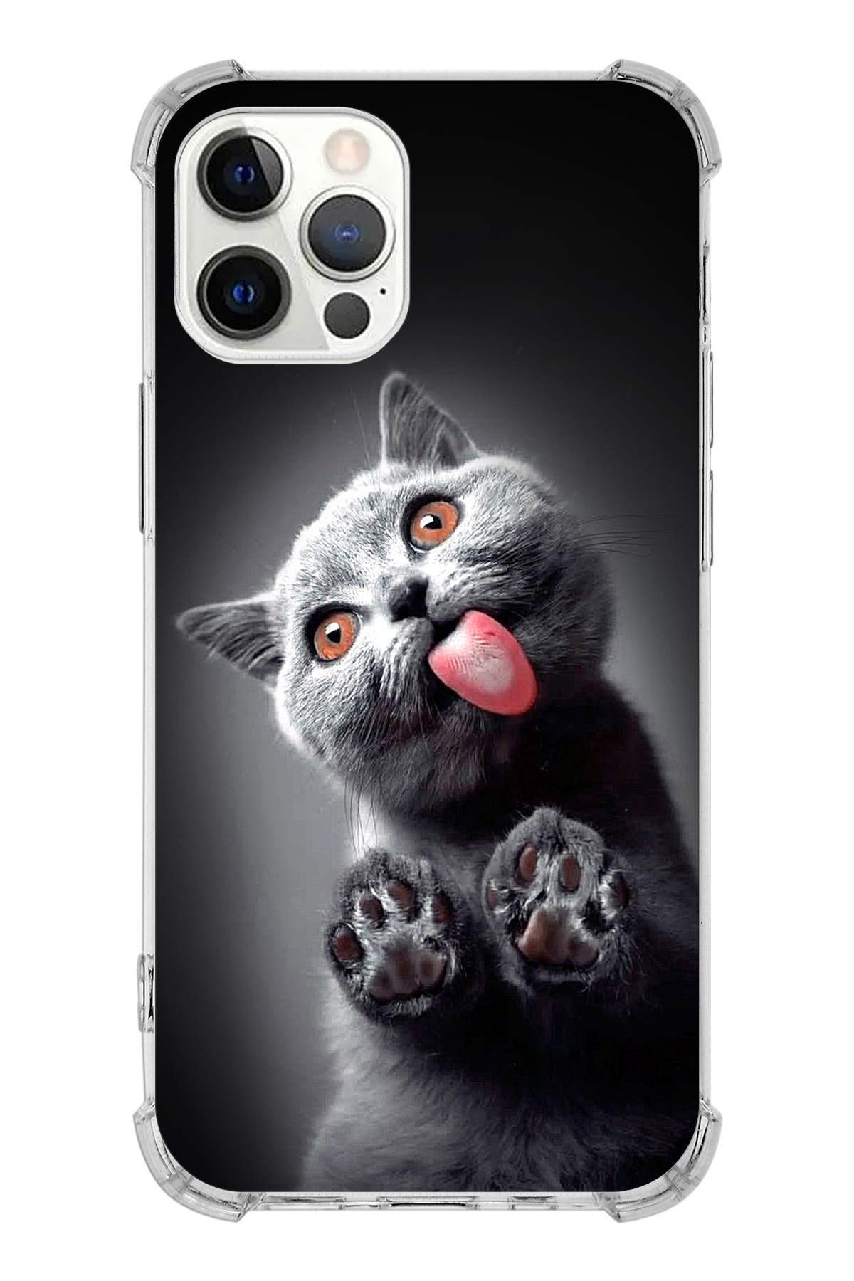 PrintiFy Apple iPhone 12 Pro Max Uyumlu Kedi 2 Baskılı Şeffaf Köşe Korumalı Antişok Kılıf