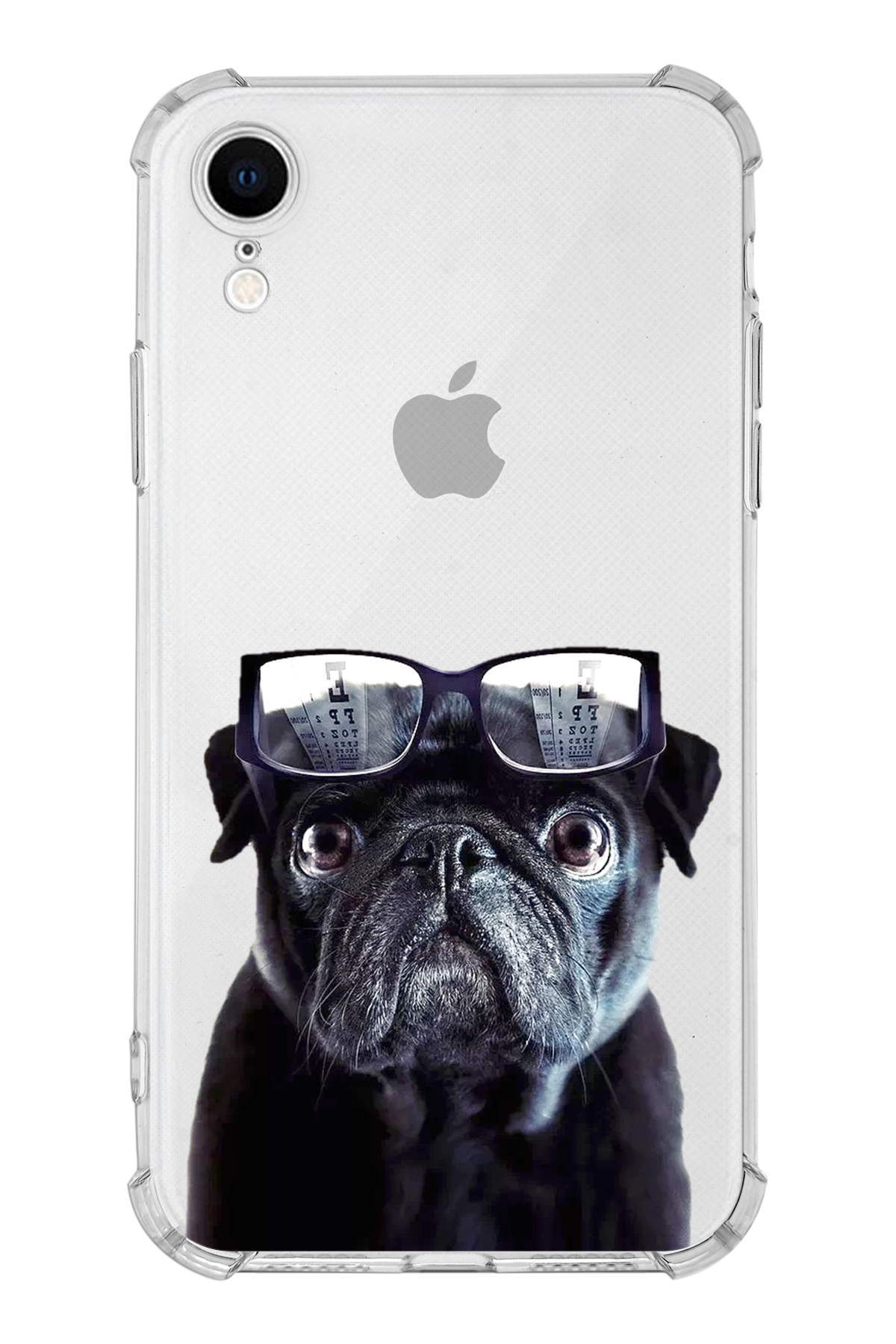 PrintiFy Apple iPhone XR Uyumlu Köpek 3 Baskılı Şeffaf Köşe Korumalı Antişok Kılıf
