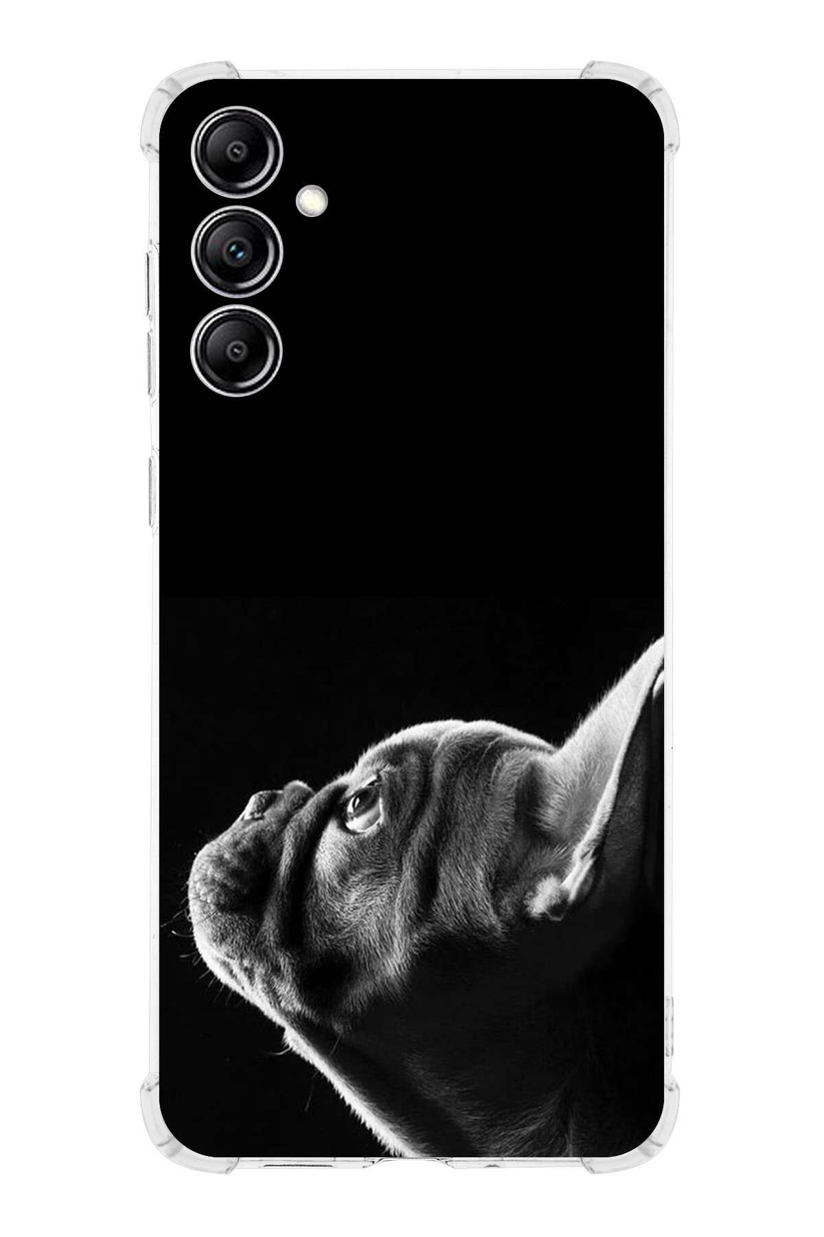 Samsung Galaxy A24 Uyumlu Köpek 1 Baskılı Şeffaf Köşe Korumalı Antişok Kılıf