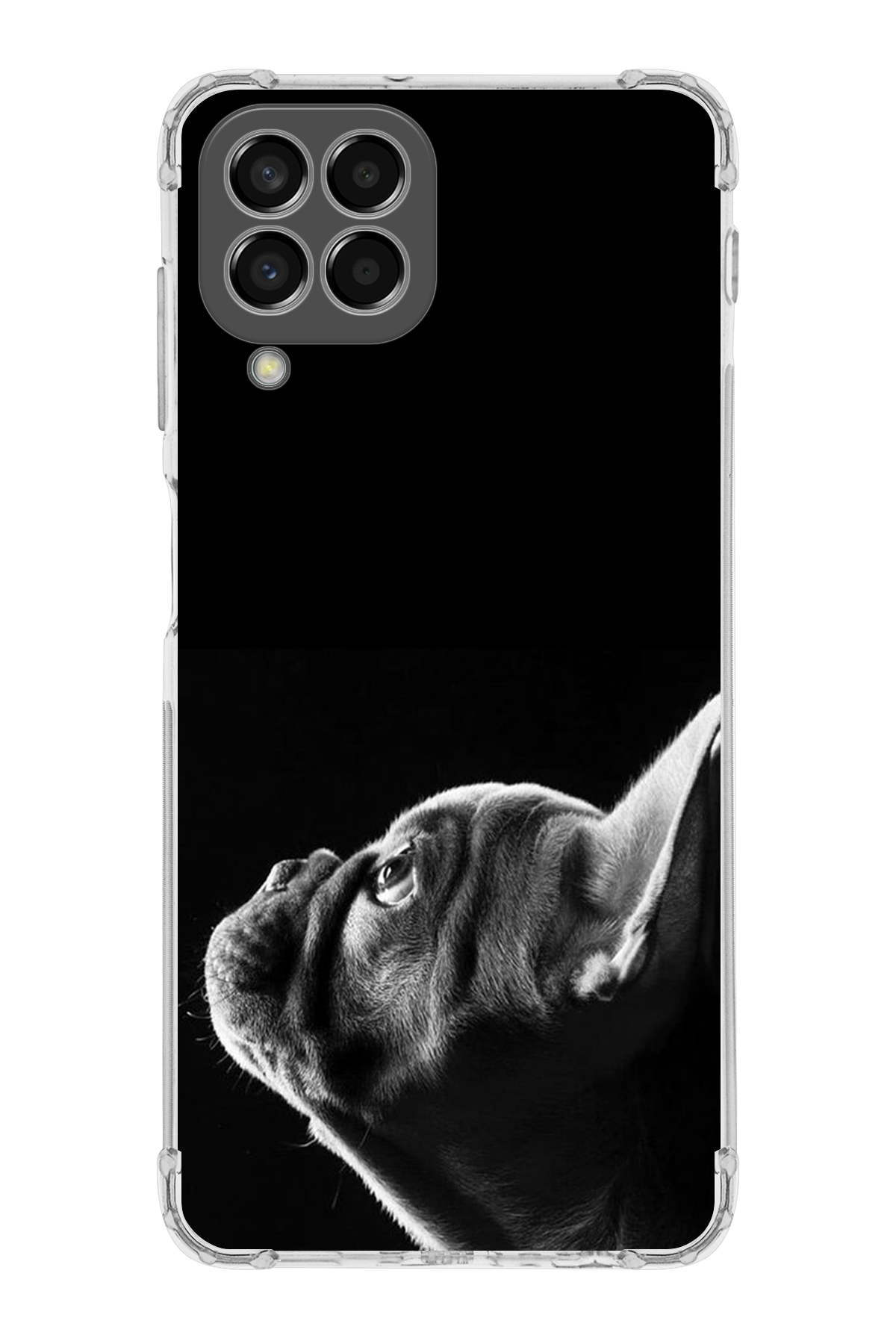 Samsung Galaxy M33 Uyumlu Köpek 1 Baskılı Şeffaf Köşe Korumalı Antişok Kılıf