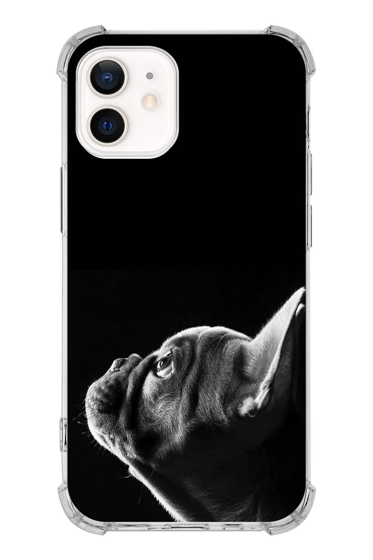 PrintiFy Apple iPhone 12 Uyumlu Köpek 1 Baskılı Şeffaf Köşe Korumalı Antişok Kılıf