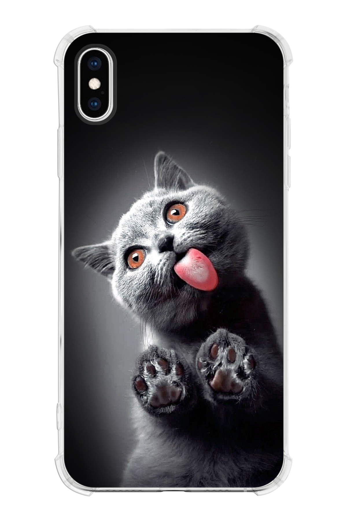 PrintiFy Apple iPhone XS Max Uyumlu Kedi 2 Baskılı Şeffaf Köşe Korumalı Antişok Kılıf