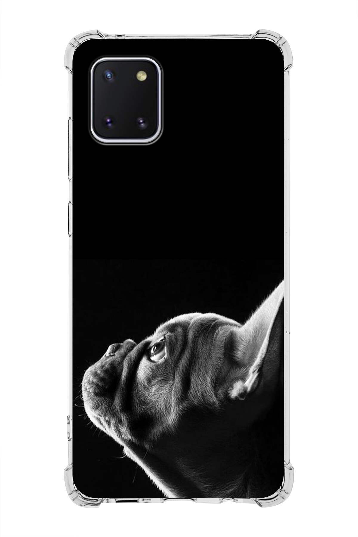 Samsung Galaxy Note 10 Lite Köpek 1 Baskılı Şeffaf Köşe Korumalı Antişok Kılıf