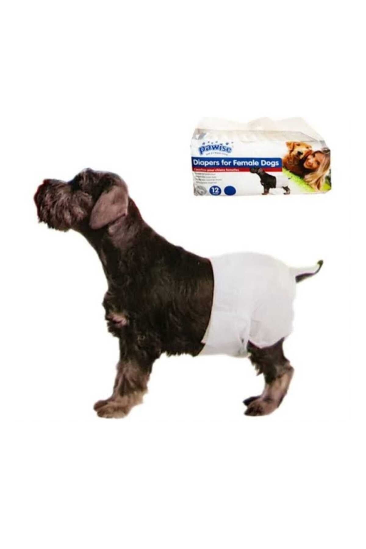 Pawise Neo Pet Market Dişi Köpek Çiş Bezi L Boy 12'li Alt Bağlama Bezi Bel Çevresi 36-52 Cm Için