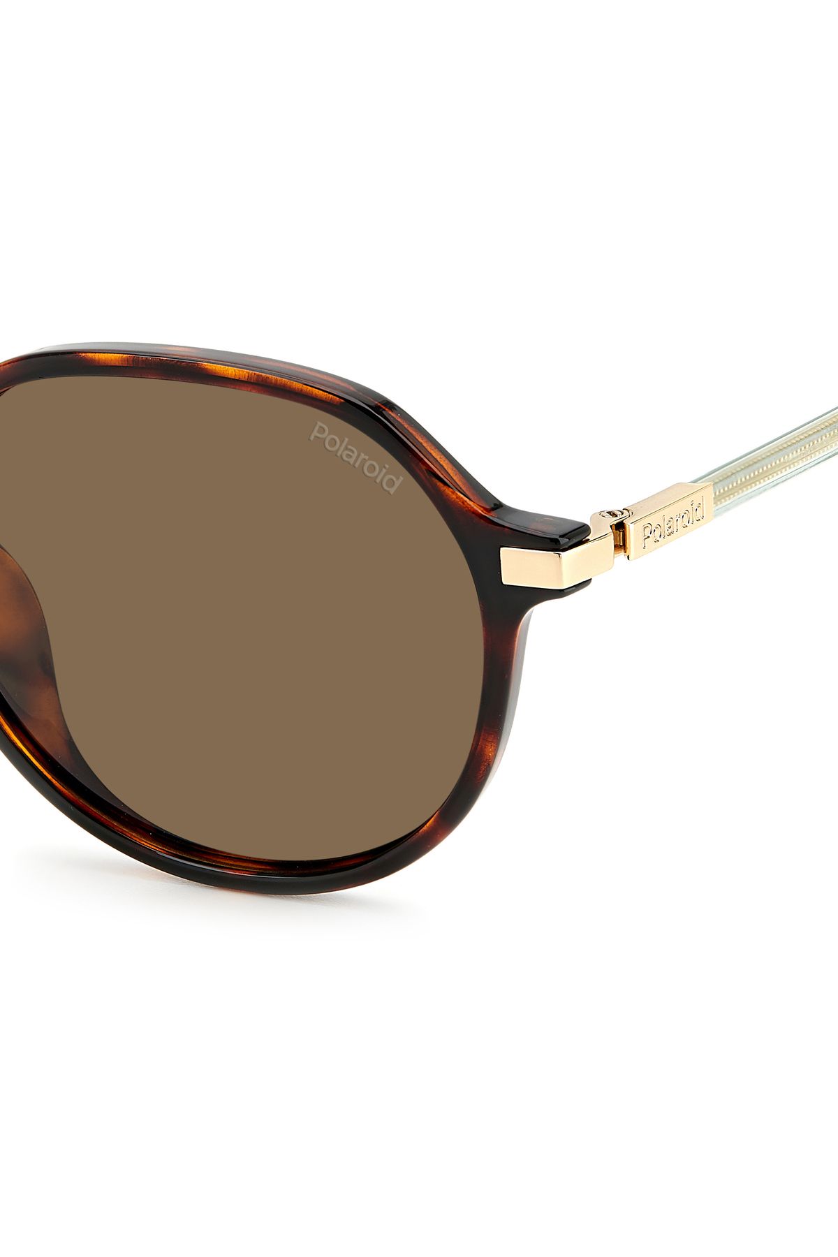 Polaroid-Women's Polaroid Sunglasses 2