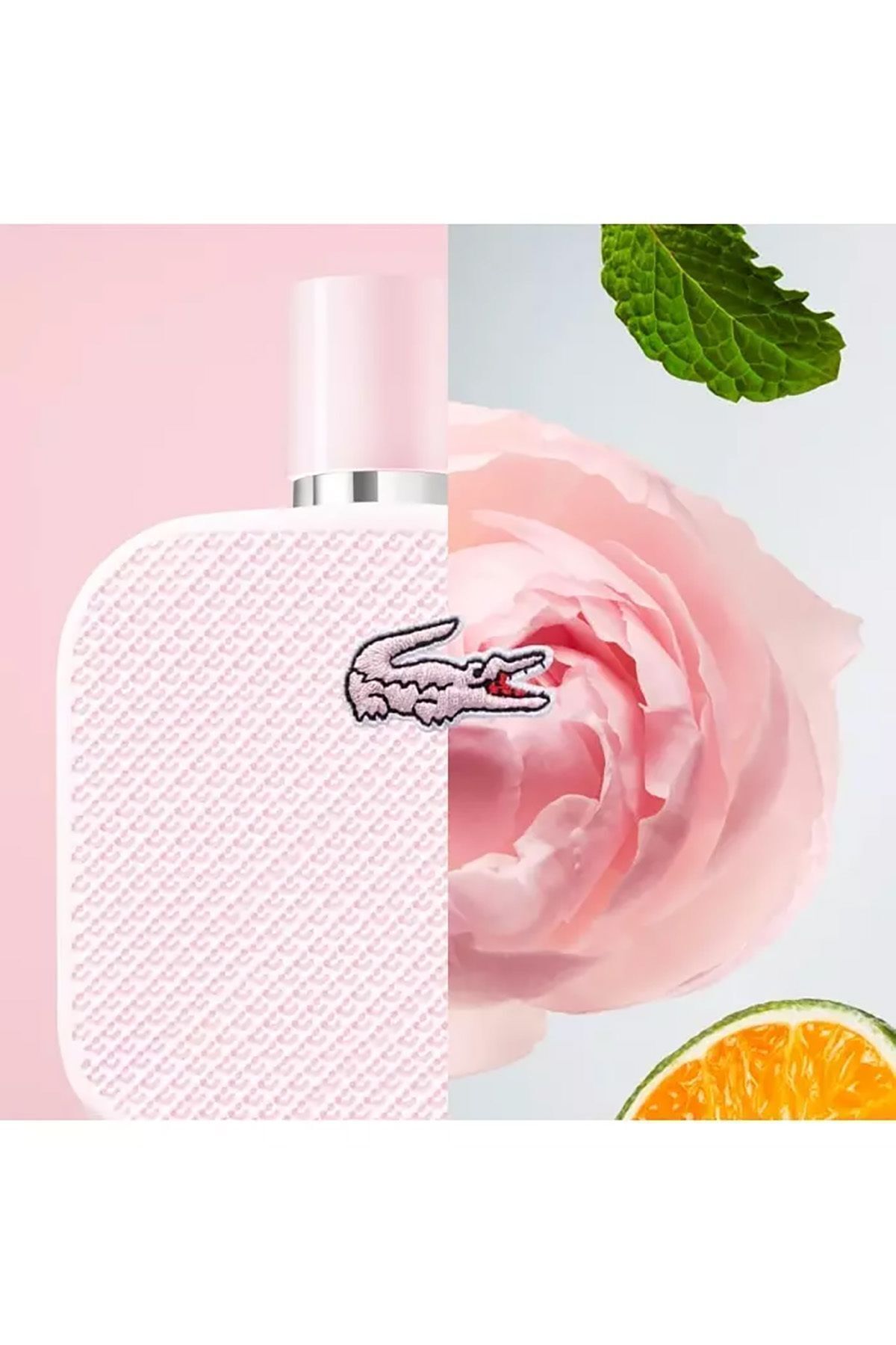Lacoste L.12.12 Rose Eau de Parfum Kad n 100ML Fiyat Yorumlar Trendyol