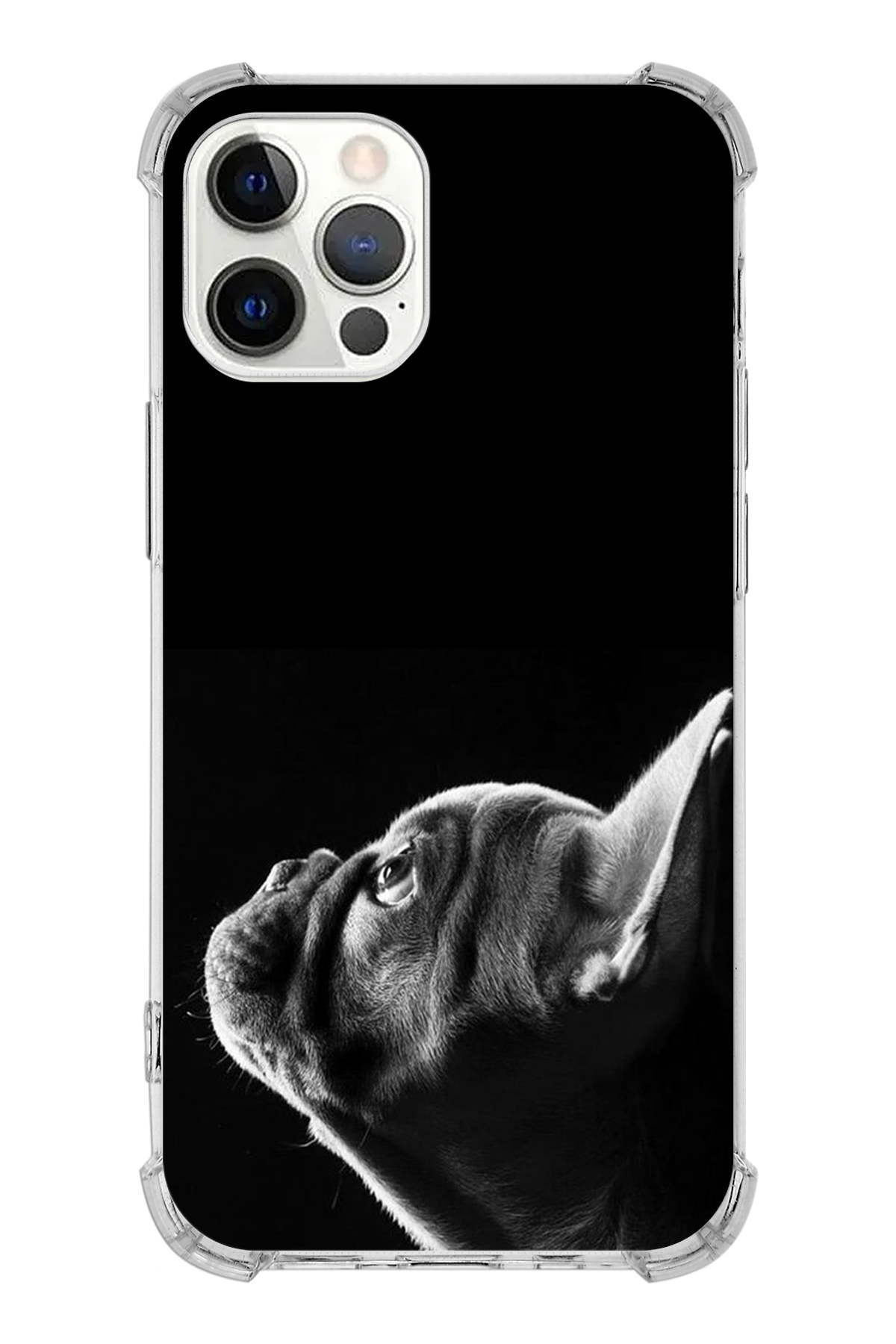 PrintiFy Apple iPhone 12 Pro Max Uyumlu Köpek 1 Baskılı Şeffaf Köşe Korumalı Antişok Kılıf