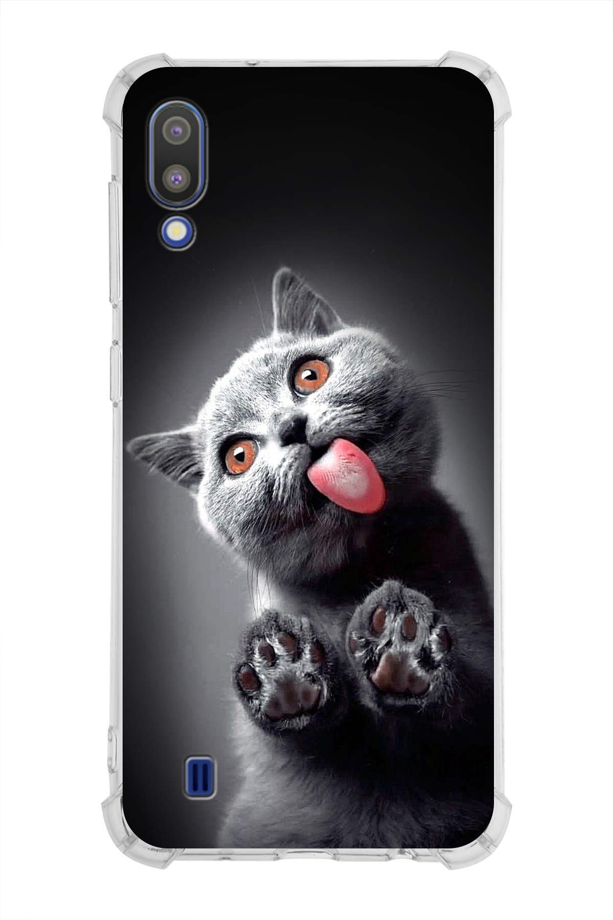 Samsung Galaxy M10 Uyumlu Kedi 2 Baskılı Şeffaf Köşe Korumalı Antişok Kılıf