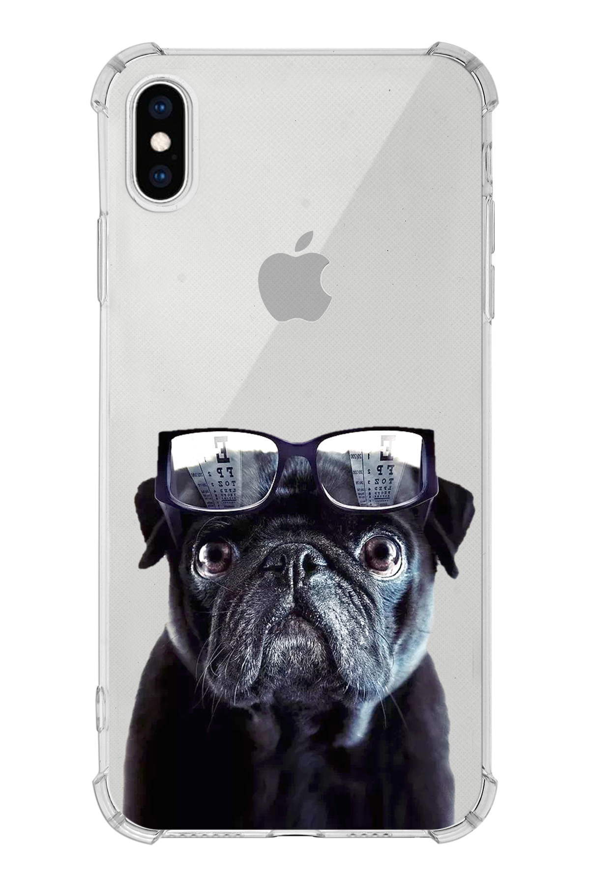 PrintiFy Apple iPhone X Uyumlu Köpek 3 Baskılı Şeffaf Köşe Korumalı Antişok Kılıf
