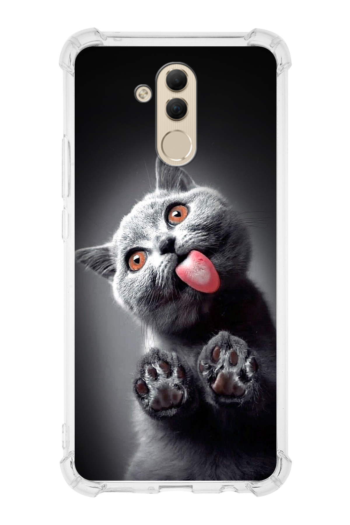 Huawei Mate 10 Lite Uyumlu Kedi 2 Baskılı Şeffaf Köşe Korumalı Antişok Kılıf