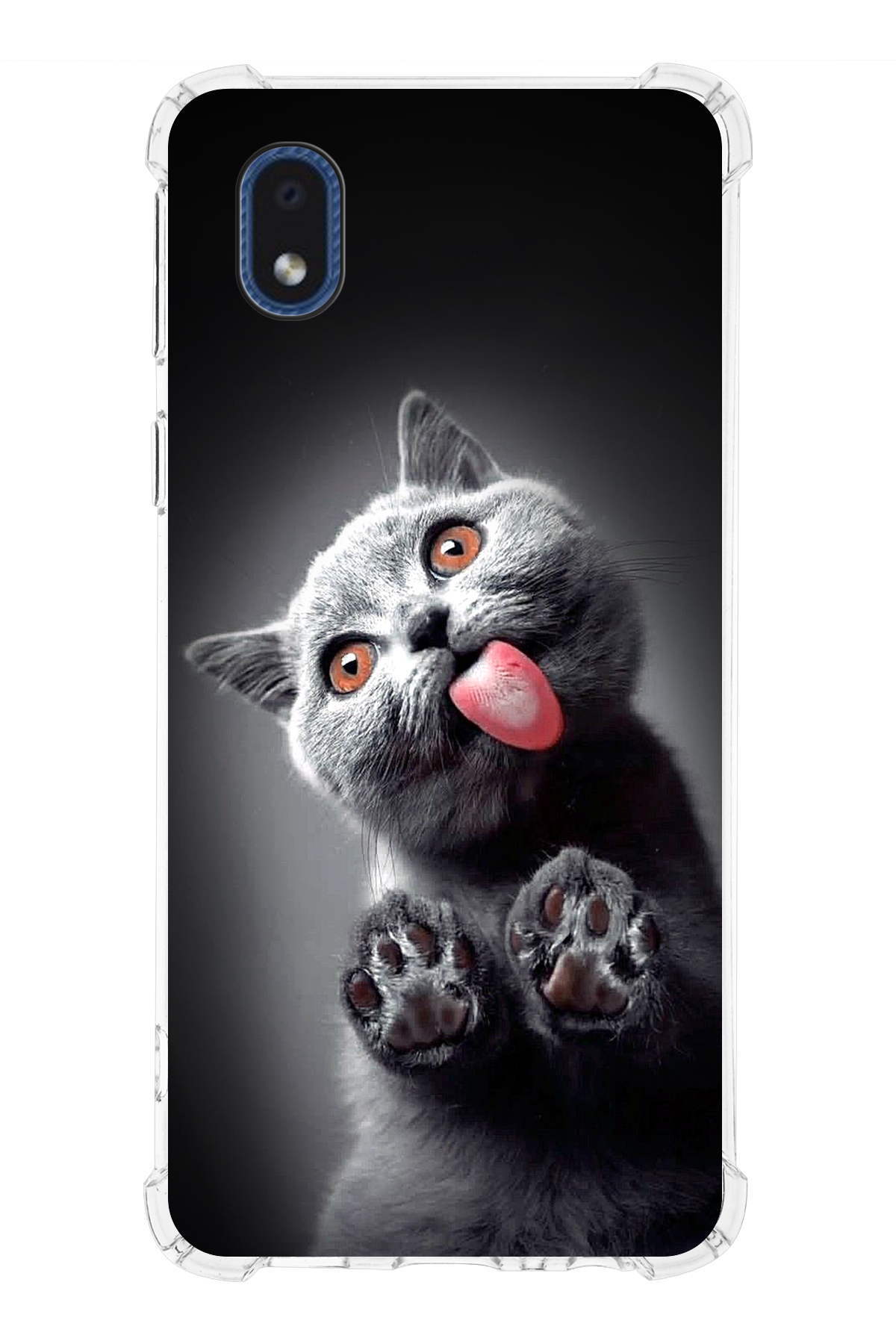 Samsung Galaxy A01 Core Uyumlu Kedi 2 Baskılı Şeffaf Köşe Korumalı Antişok Kılıf