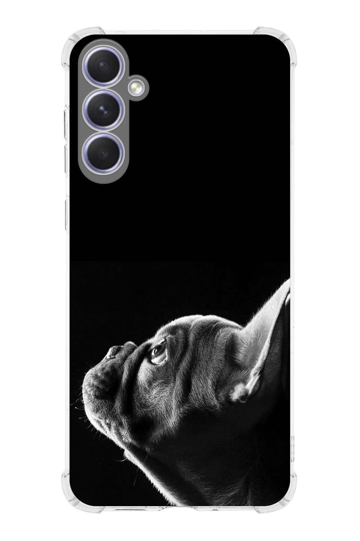 Samsung Galaxy A54 Uyumlu Köpek 1 Baskılı Şeffaf Köşe Korumalı Antişok Kılıf