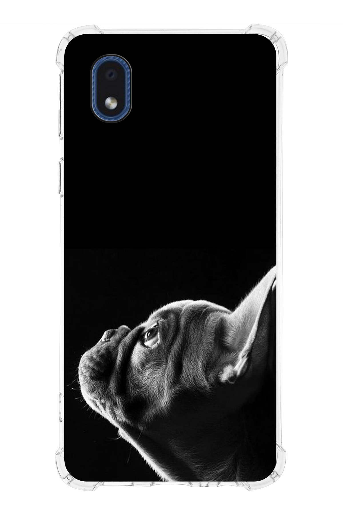 Samsung Galaxy A01 Core Uyumlu Köpek 1 Baskılı Şeffaf Köşe Korumalı Antişok Kılıf