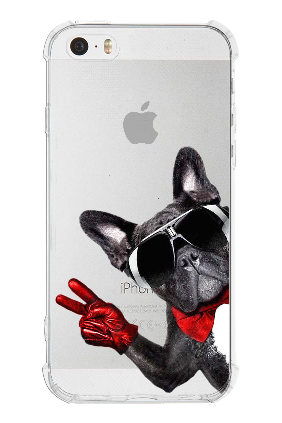 PrintiFy Apple iPhone 5 Uyumlu Köpek 2 Baskılı Şeffaf Köşe Korumalı Antişok Kılıf