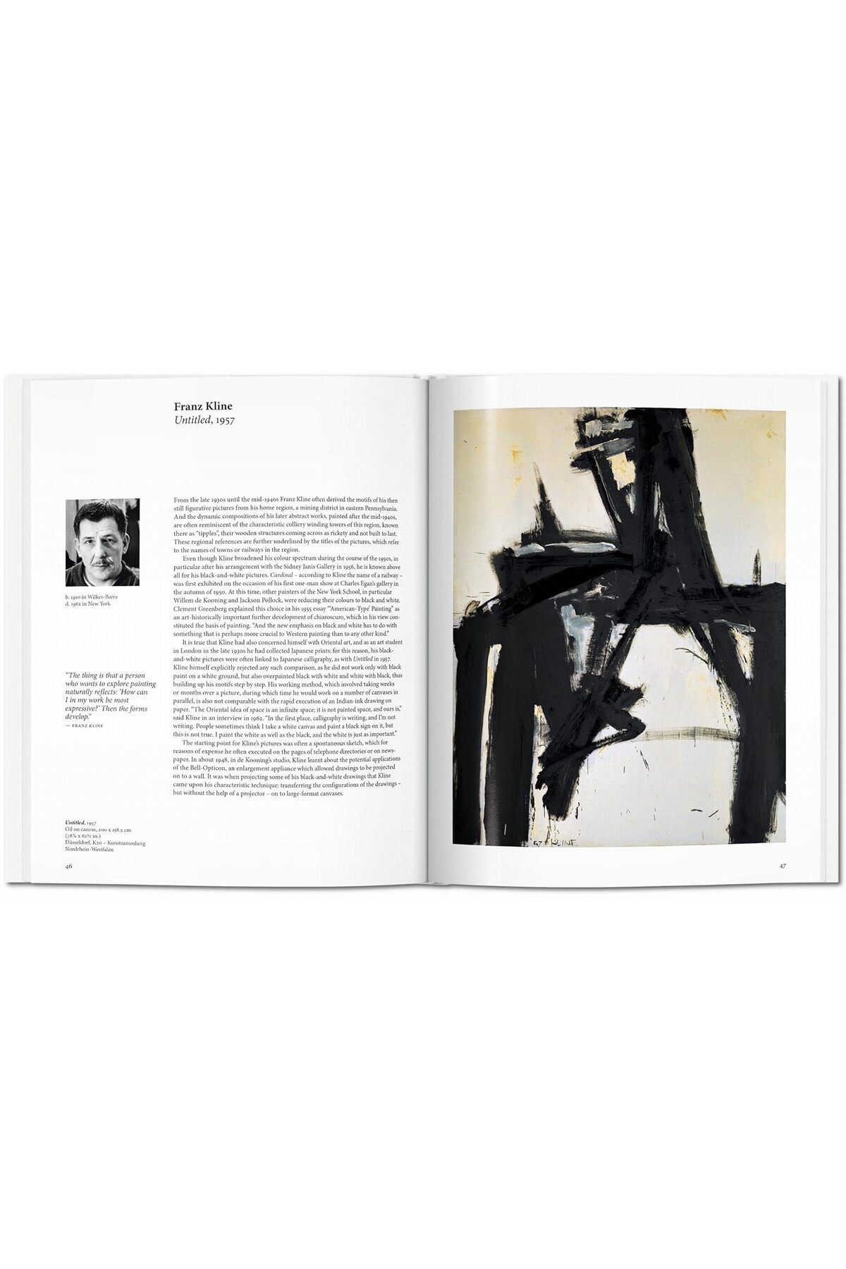 Taschen-Barbara Hess' Abstract Expressionism 4