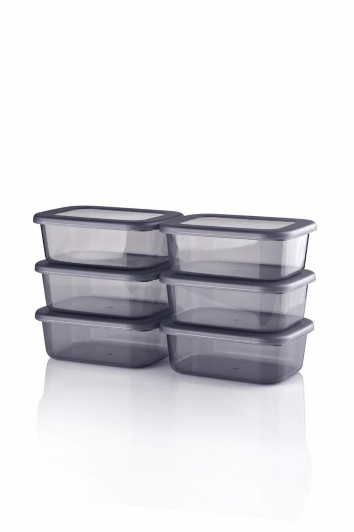 Ecolux-Vista Set of 6 - Multi-Purpose Microwave and Freezer Storage Container, Transparent-Anthracite 3