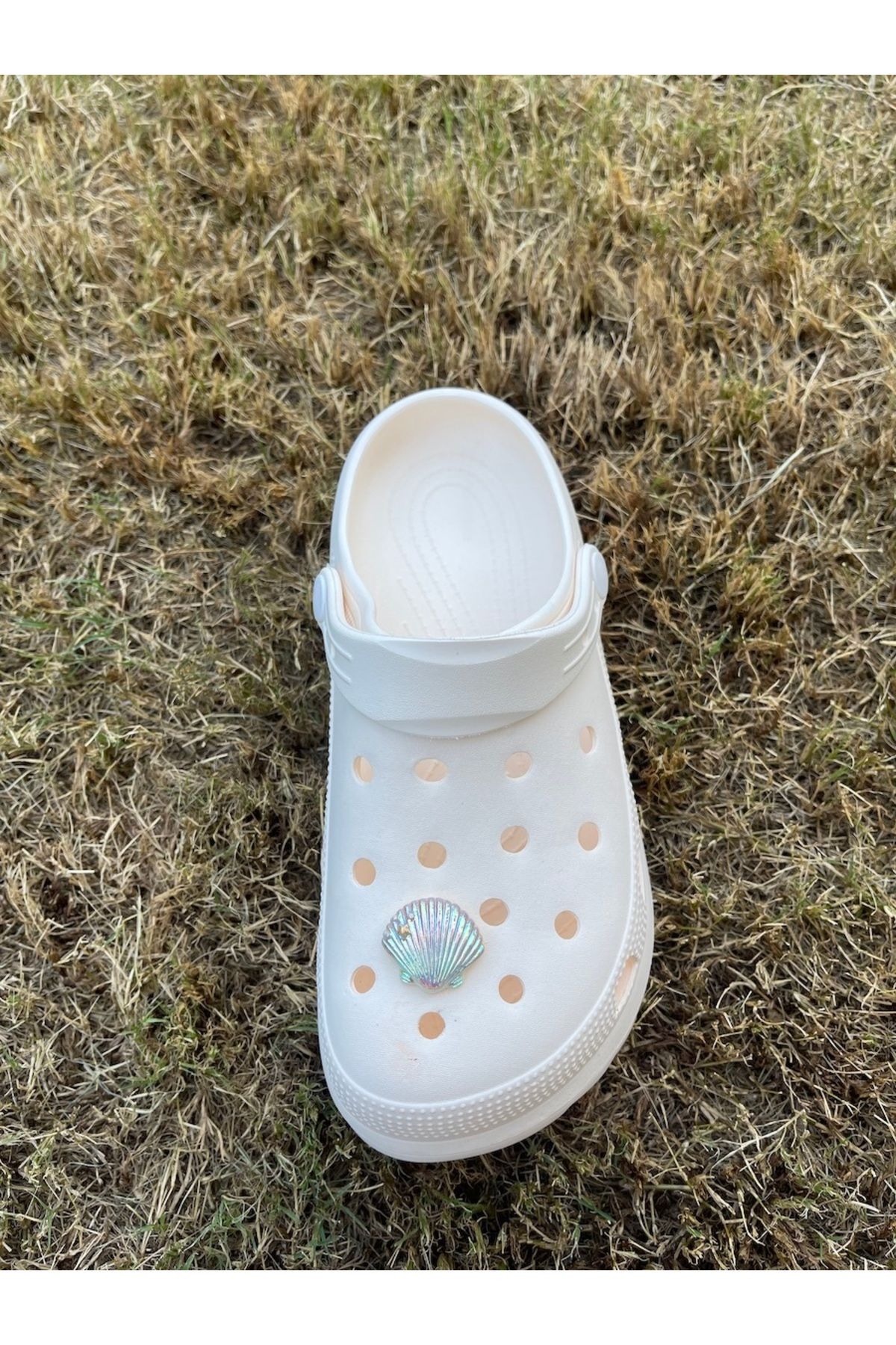 هدیه مفهومی دمپایی صدف زینتی تزئین سه بعدی جذاب Crocs