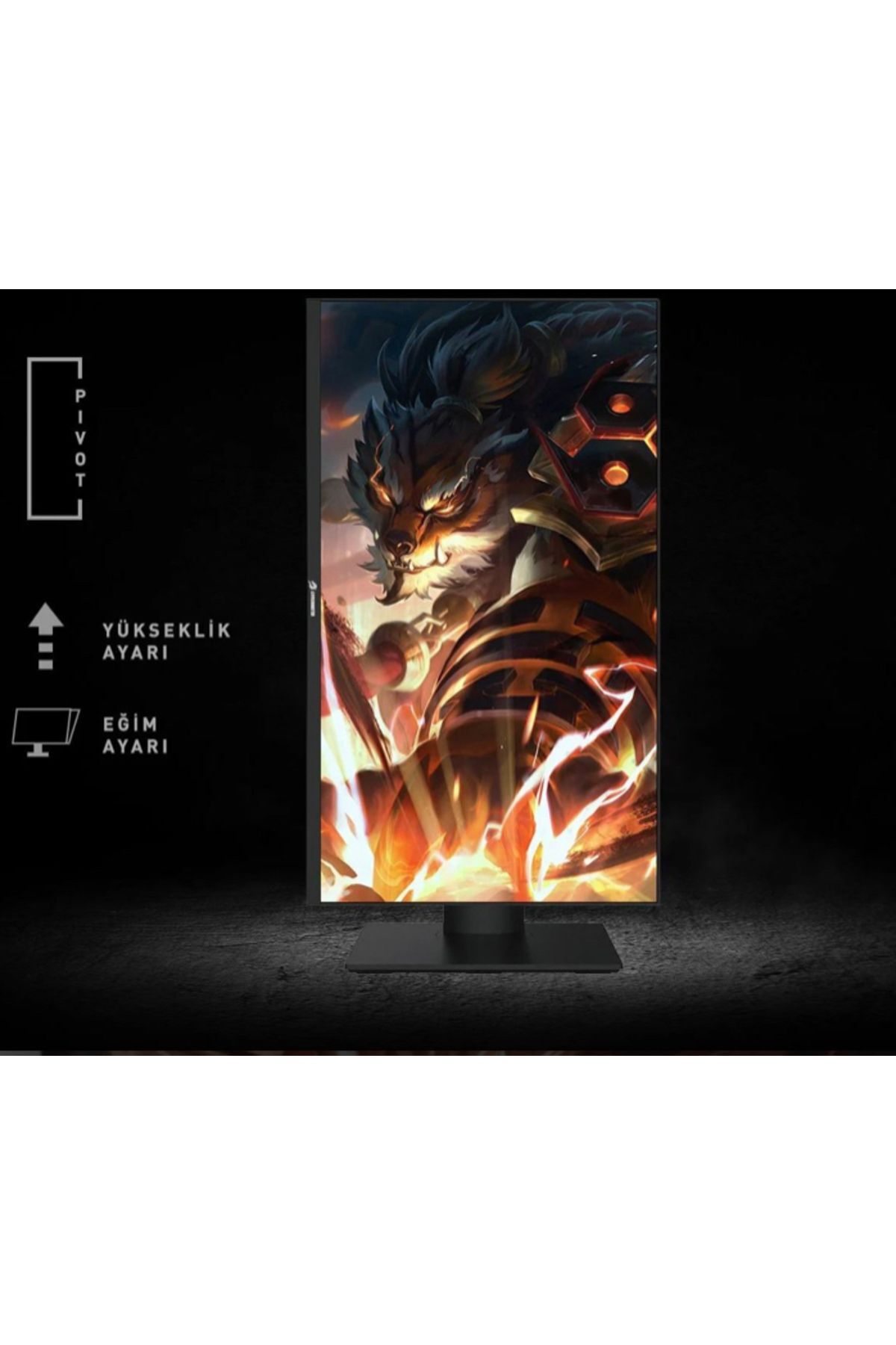 27" GAMEBOOSTER GB-2727FF 1ms 240Hz HDMI,DisplayPort G-Sync SS Nano IPS Gaming Monitör 3
