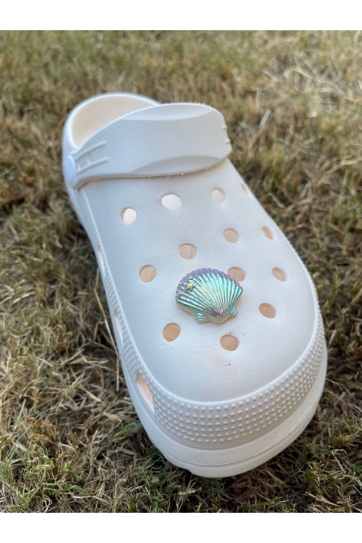 هدیه مفهومی دمپایی صدف زینتی تزئین سه بعدی جذاب Crocs