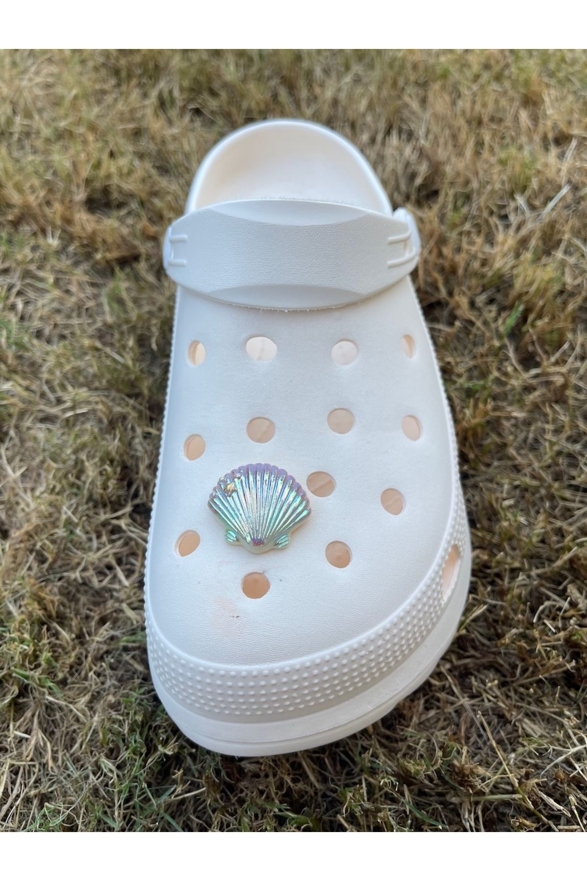 هدیه مفهومی دمپایی صدف زینتی تزئین سه بعدی جذاب Crocs