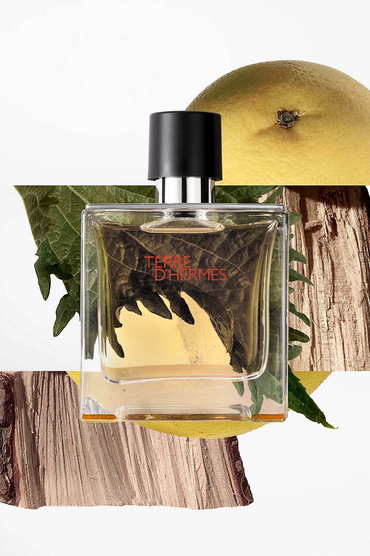 Hermes-Terre Edp 200 Ml Men's Perfume 3