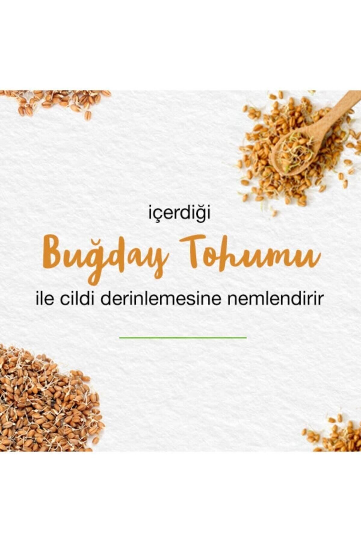 Yoğun Nemlendirici El Ve Vücut Kremi, Badem Yağı, Buğday Tohumu, E Vitamini, Tüm Ciltler, 150 ml — a50b8588479 — تصویر 5 از 8