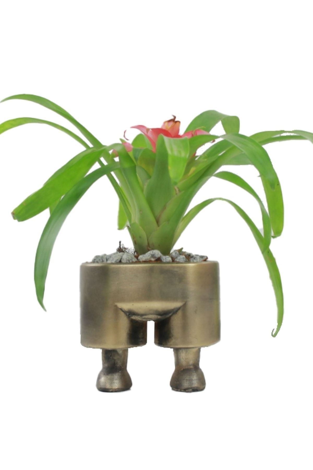 Flower Pot Cactus Flower Pot Luxury 13cm Gold Antique Foil Painted Trousers Pattern Flower Pot