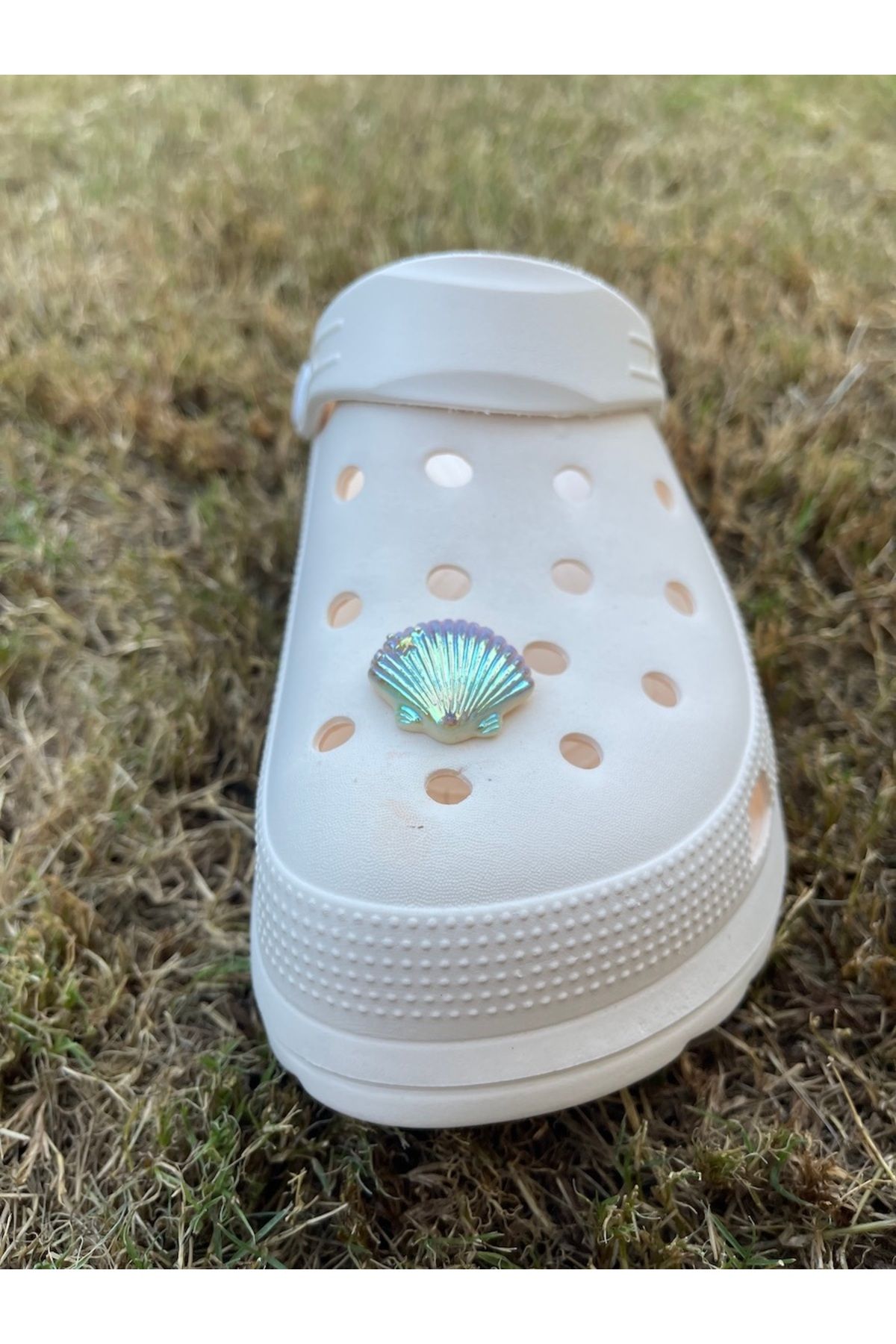 هدیه مفهومی دمپایی صدف زینتی تزئین سه بعدی جذاب Crocs