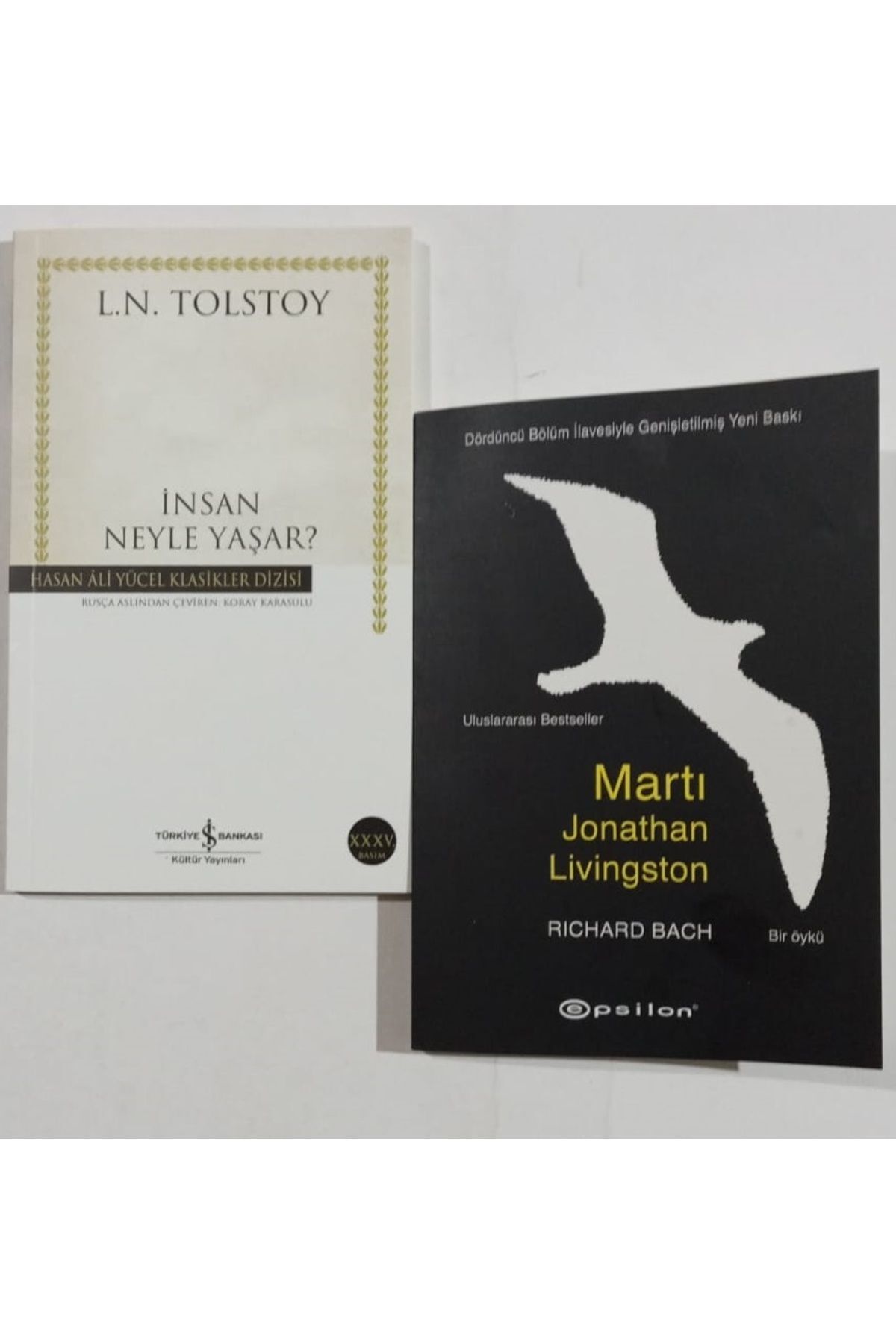 İnsan Neyle Yaşar(İş Bankası) + Martı (Jonathan Livingston). 2 Kitap Set
