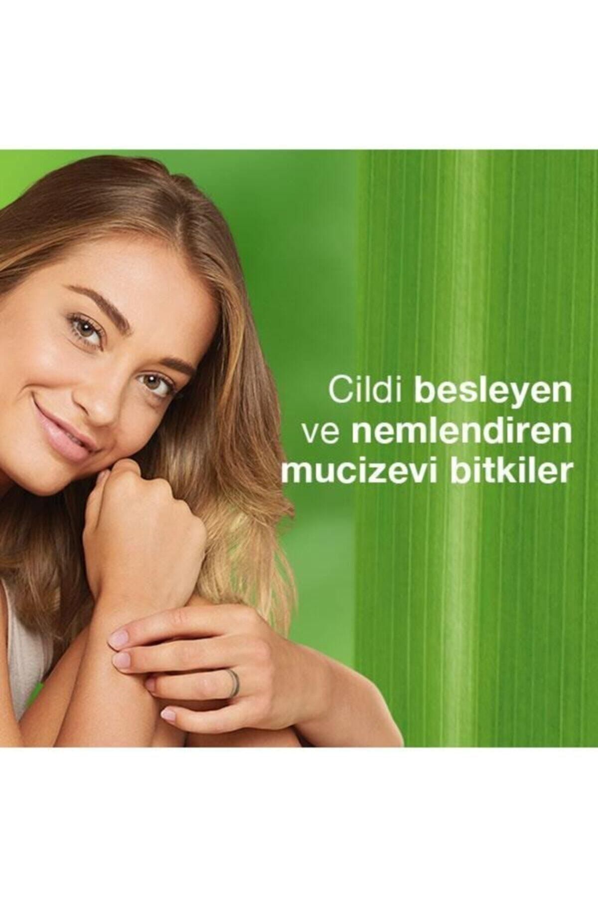 Besleyici El Ve Vücut Kremi, Kış Kirazı, Nemlendirici, Yağsız, Su Bazlı, Tüm Ciltler, 50 ml — 8901138506377 — تصویر 6 از 8