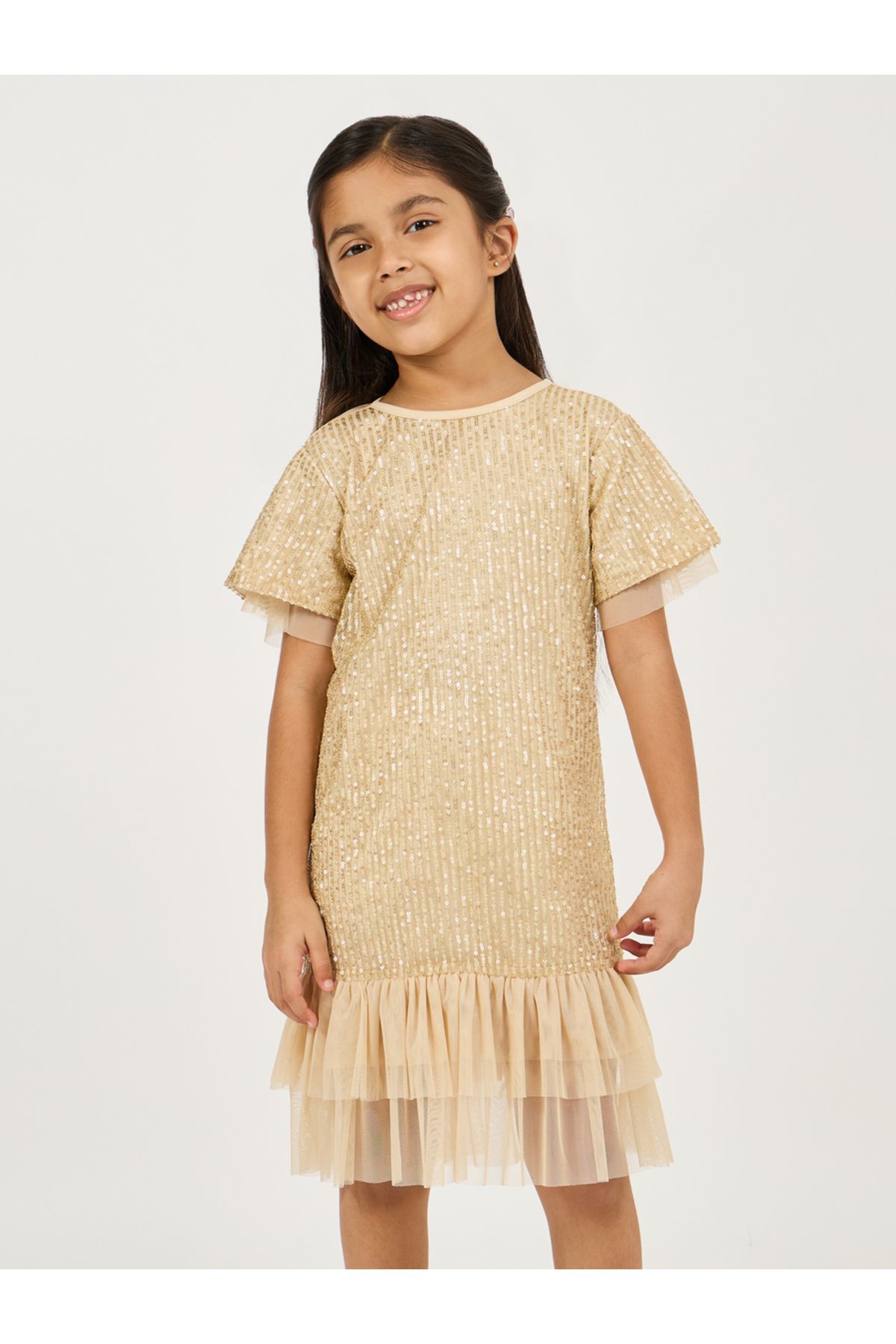 Styli-Sequined A-Line Dress with Mesh Insert 2