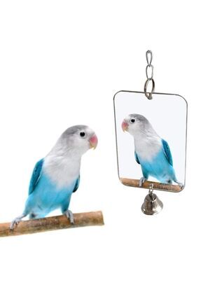 UniqBirdToys Uniq Bird Toys Zilli Dikdörtgen Kuş Aynası Oyuncağı ( Muhabbet C...