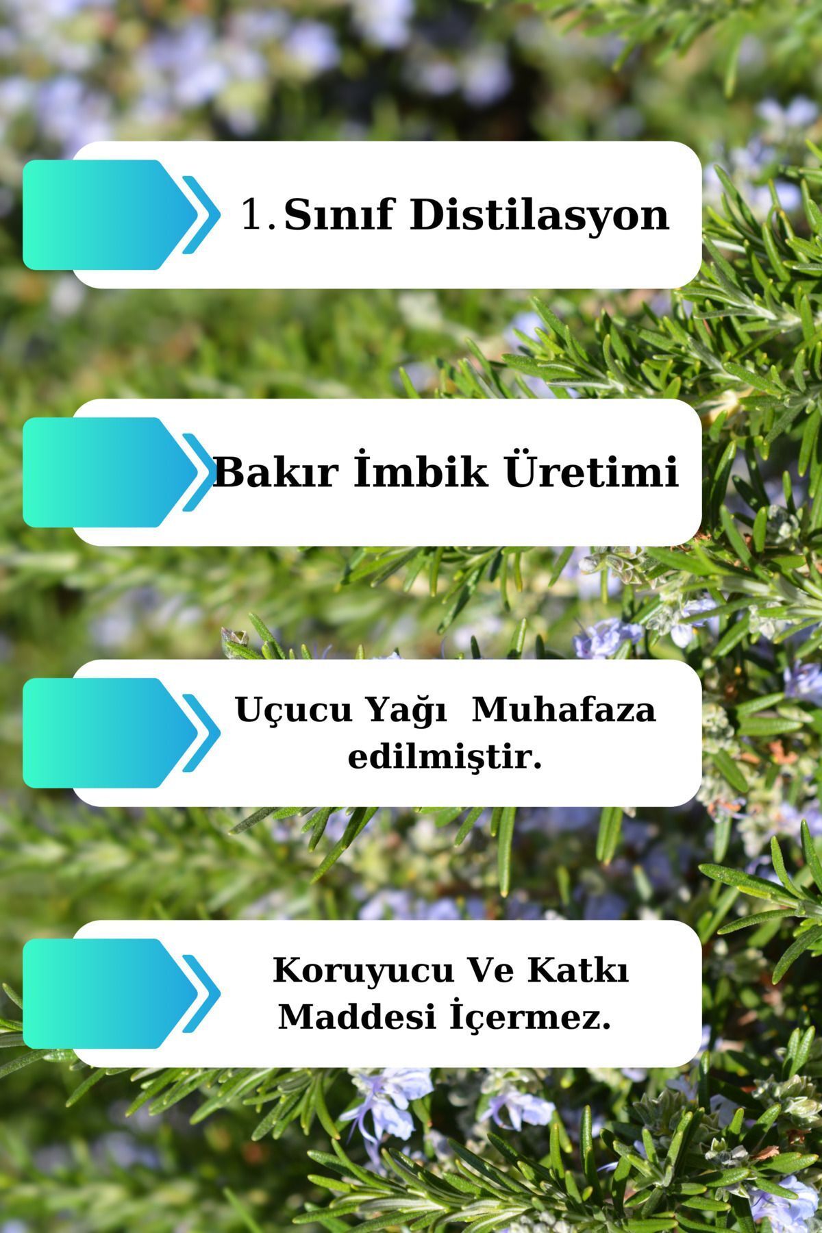 آب رزماری 300 میلی لیتر - (3 x 100 میلی لیتر) تونیک متعادل کننده سبوم/روغن Antik Şifa