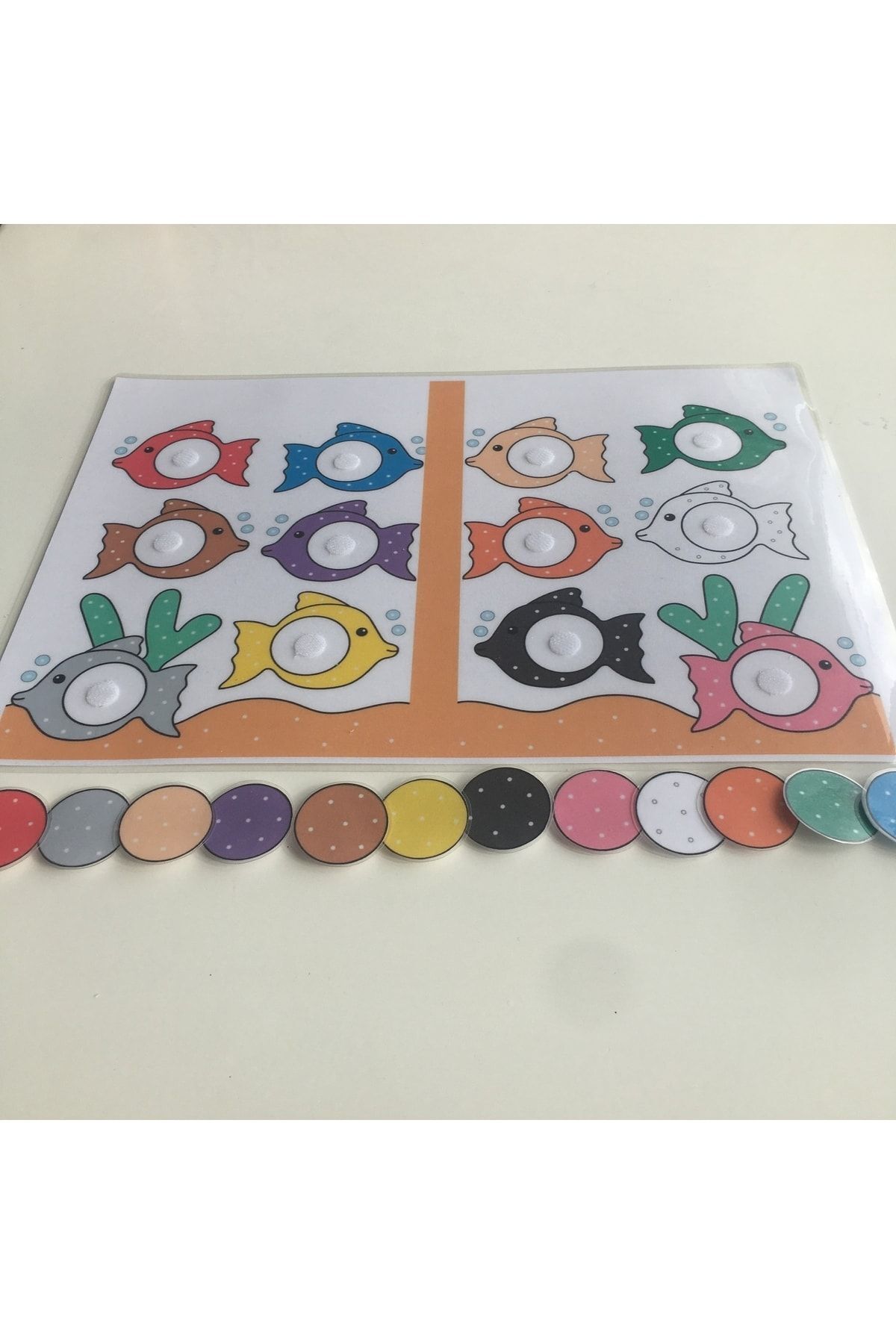 فعالیت ماهی‌های رنگارنگ