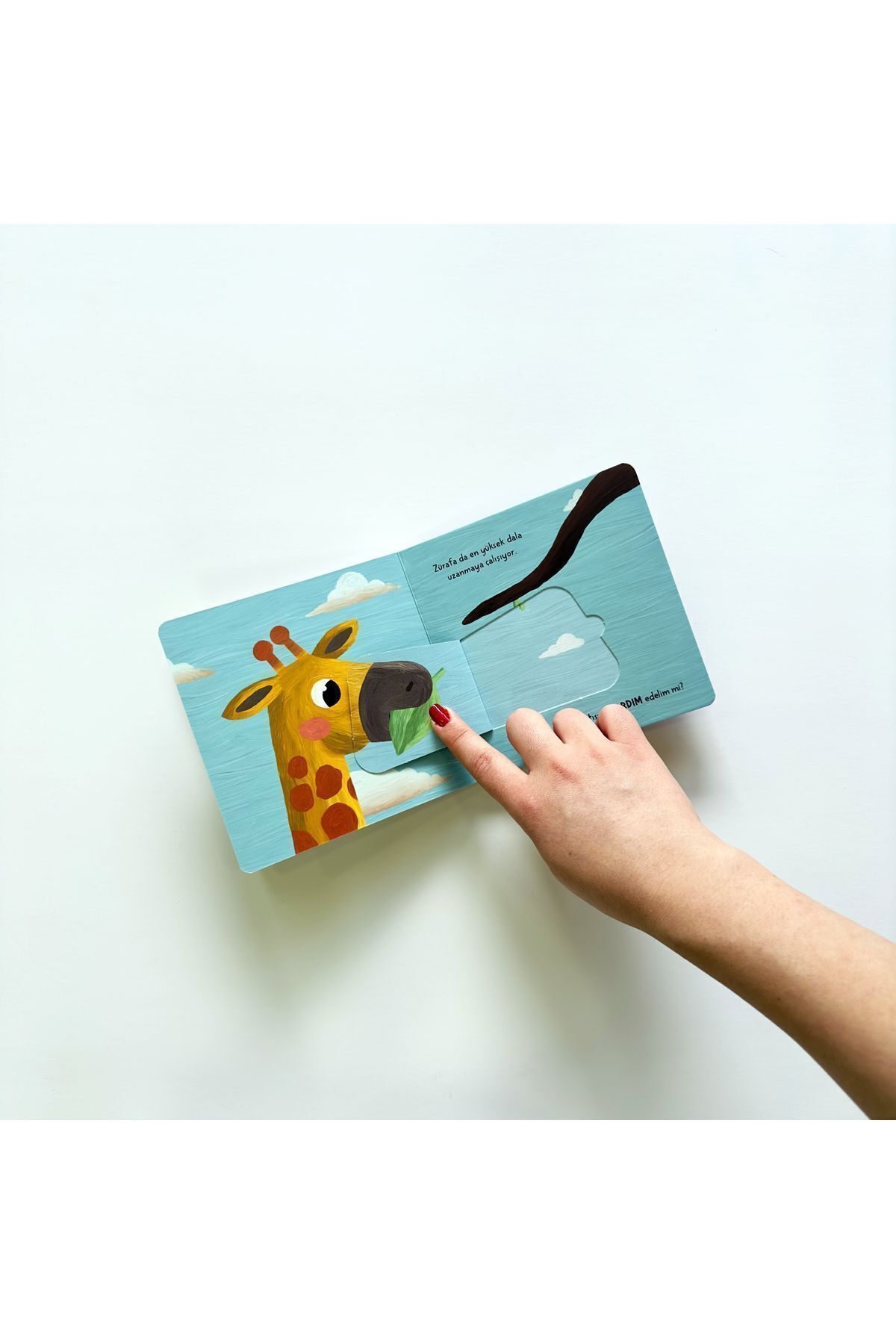 Sincap Kitap Bebek Üniversitesi Hikayeli İlk Kavramlarım -3 BEBEK-UNI3- fotoğrafı 5 (önizleme)