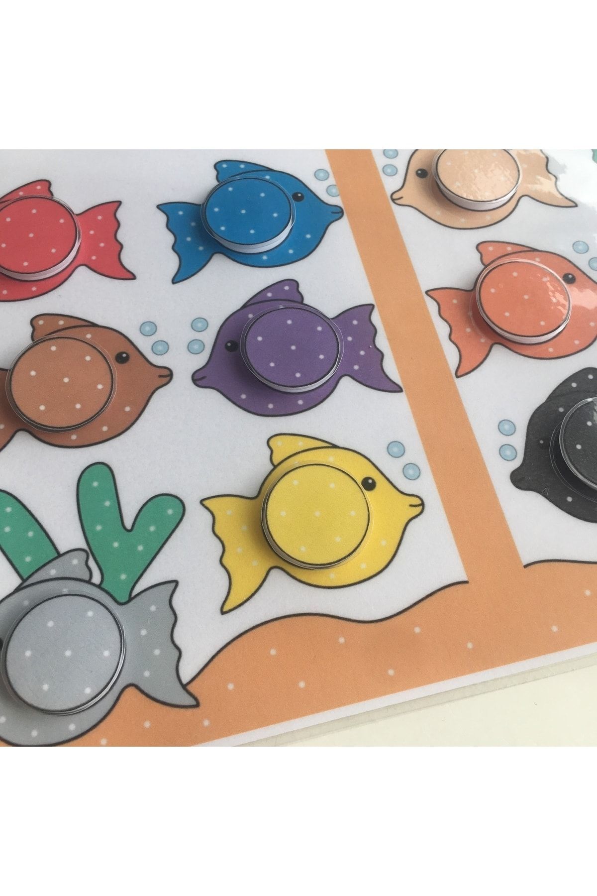 فعالیت ماهی‌های رنگارنگ