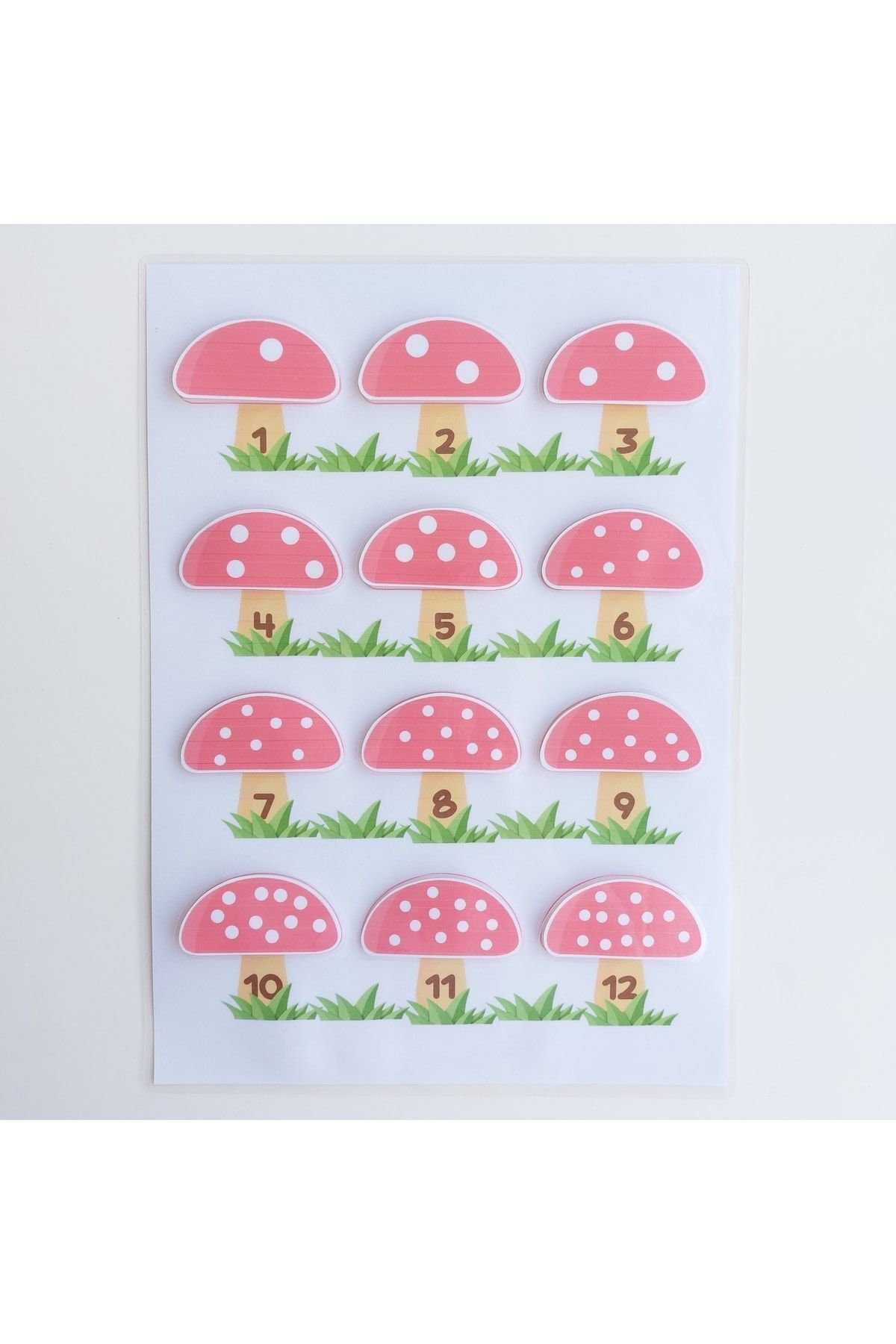 فعالیت شمردن و جایگذاری